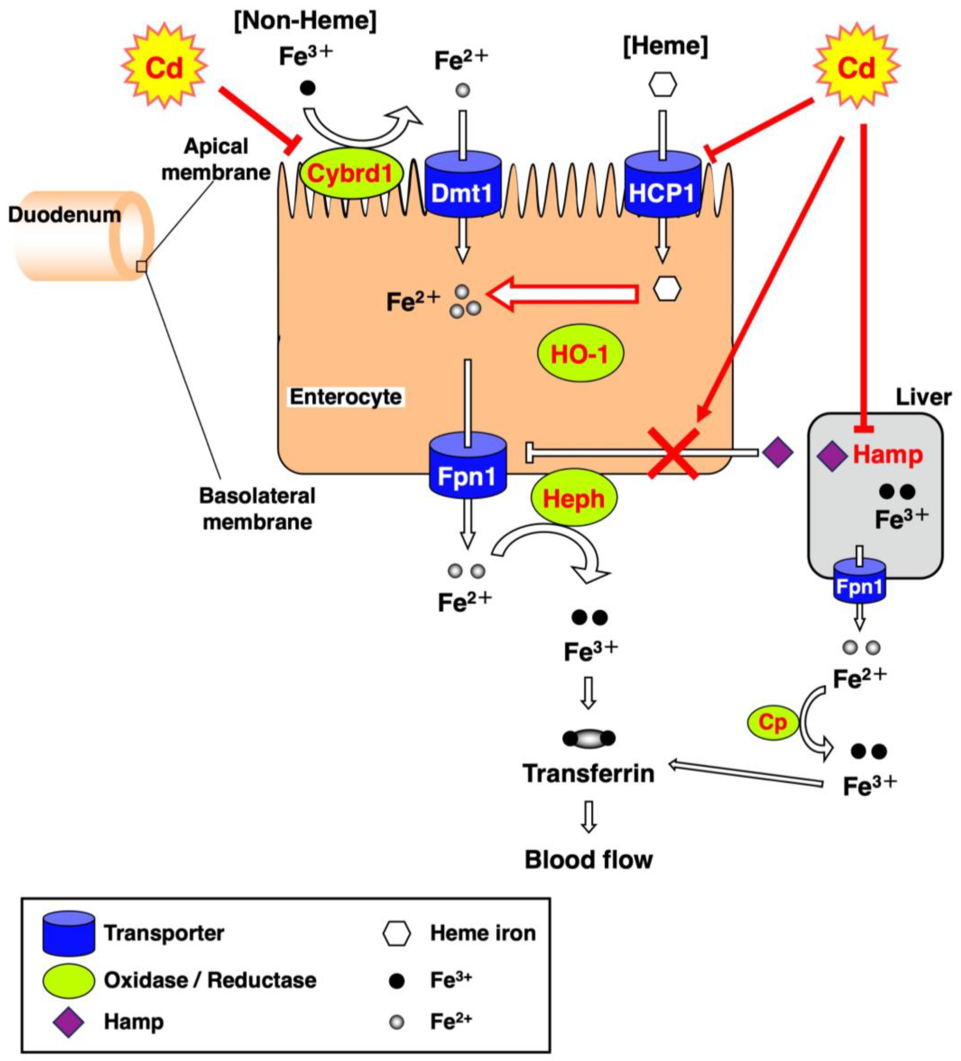 Toxics 11 00641 g008 Toxics 11 00641 g008