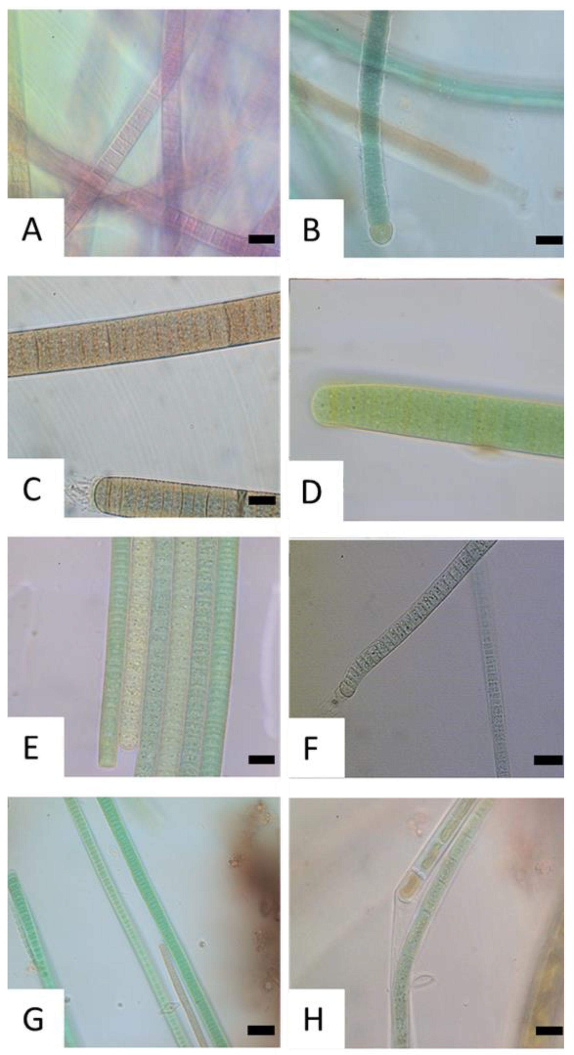 Toxics 11 00643 g003 Toxics 11 00643 g003