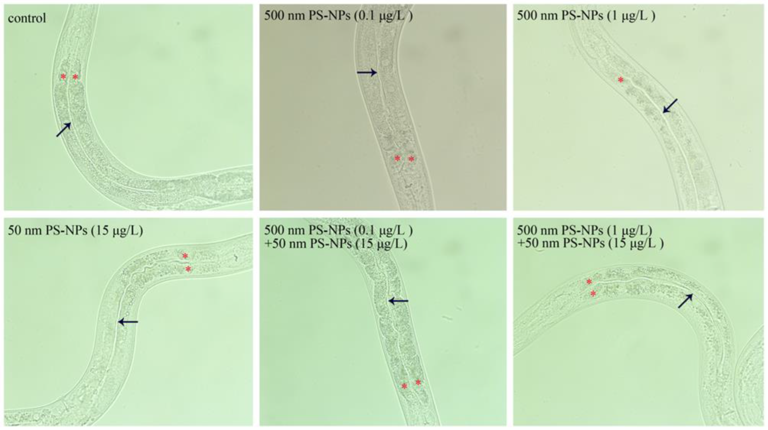 Toxics 11 00653 g003 Toxics 11 00653 g003