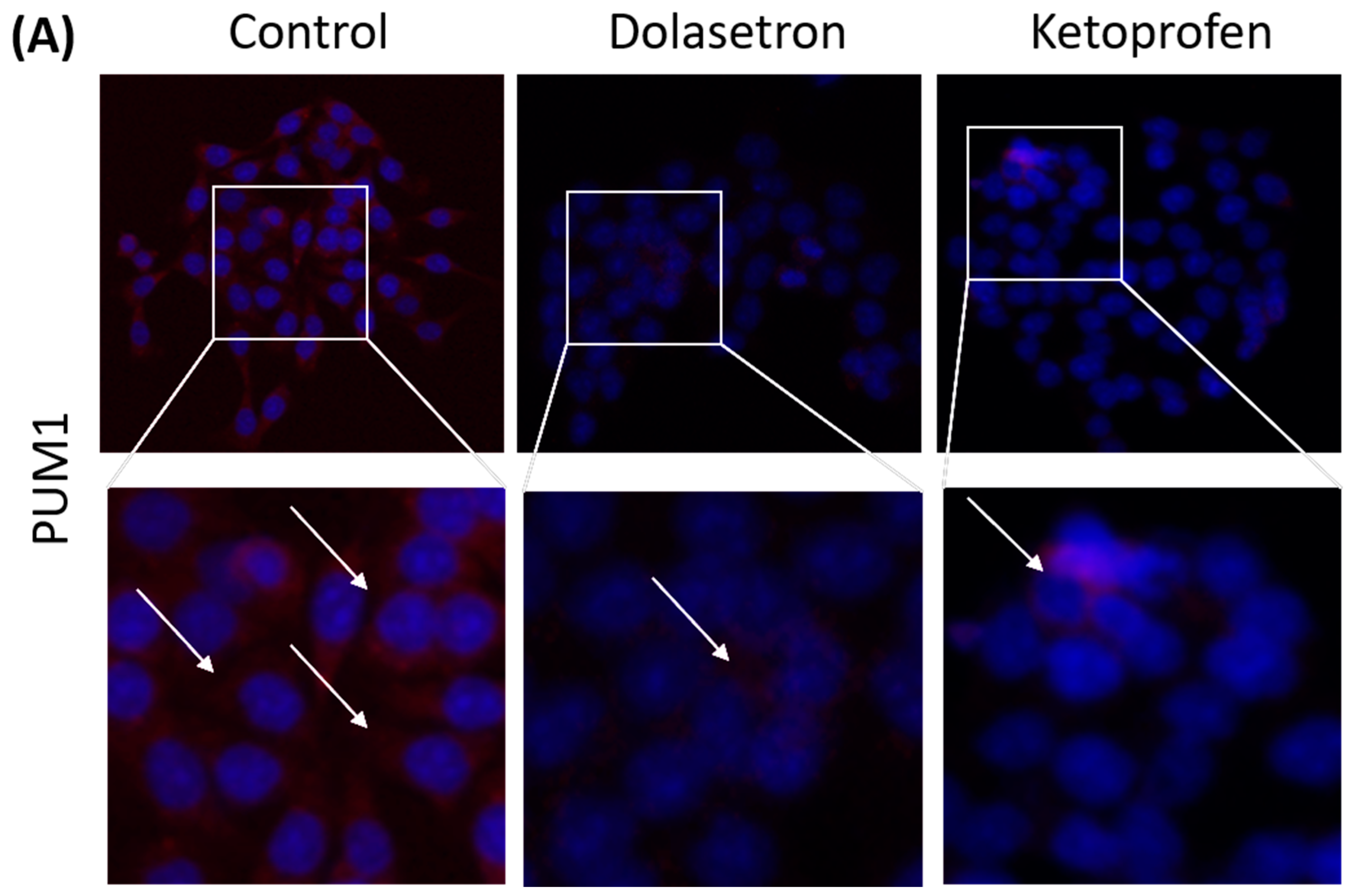 Toxics 11 00669 g008a