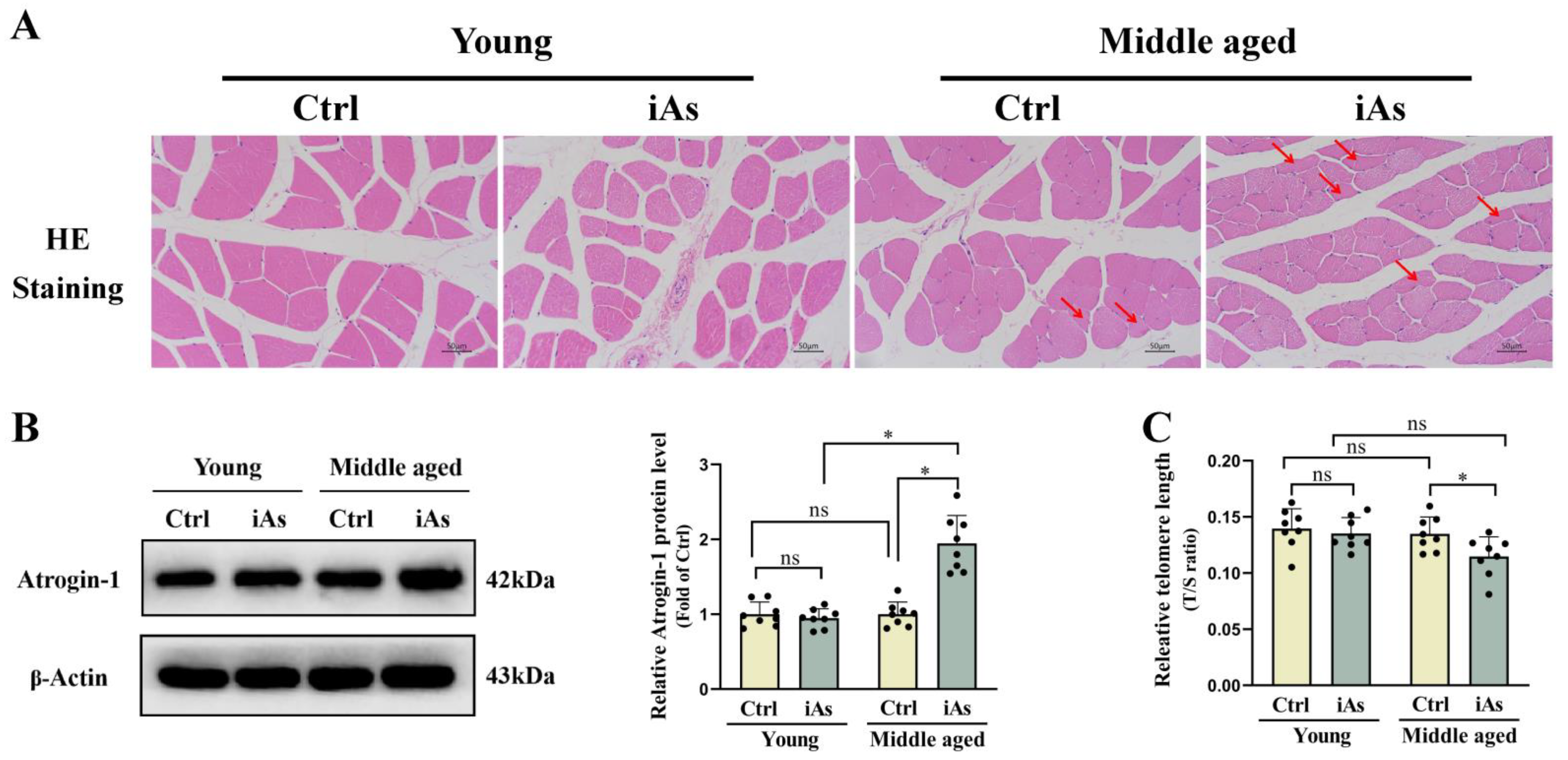Toxics 11 00689 g003 Toxics 11 00689 g003