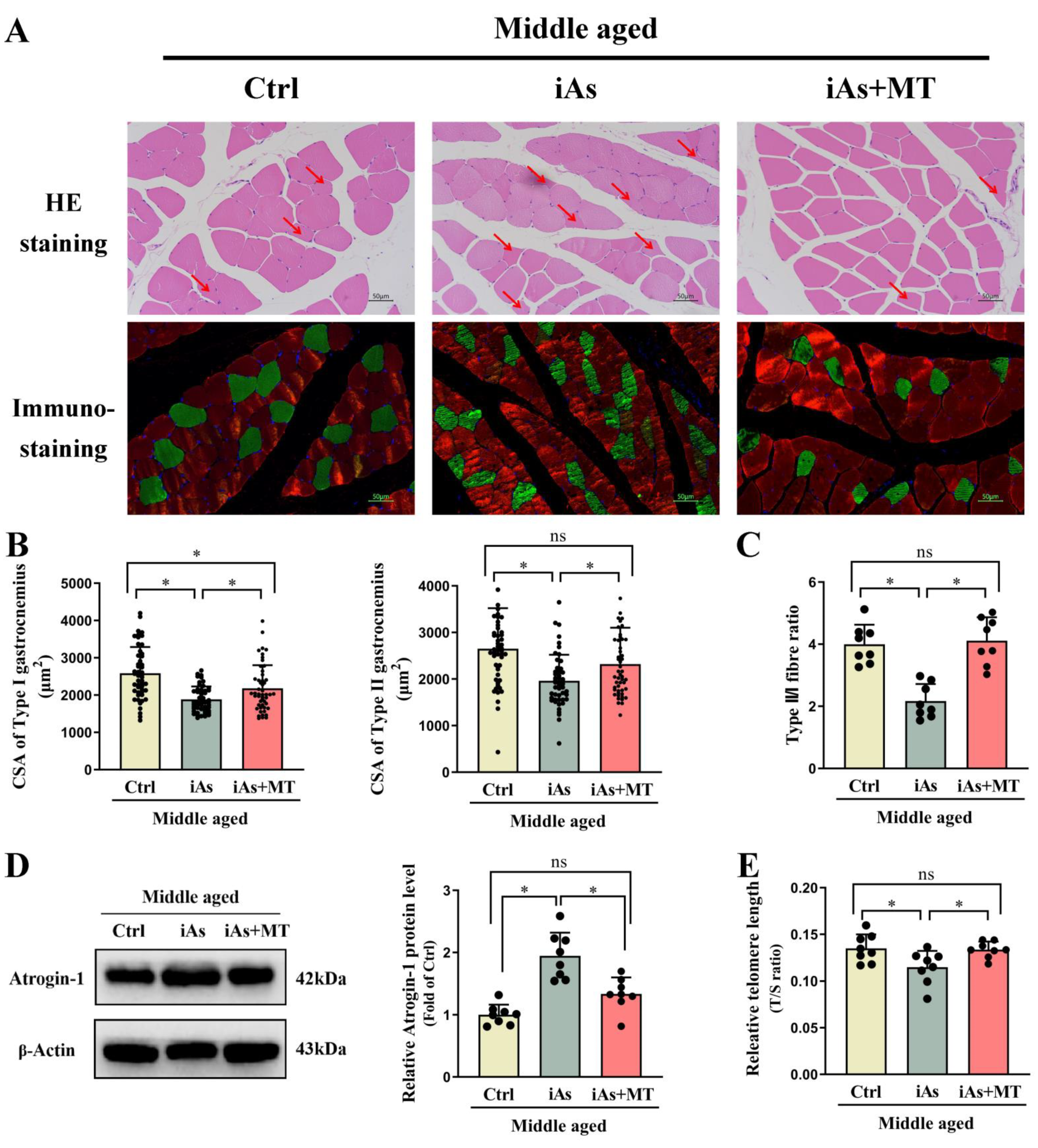Toxics 11 00689 g008 Toxics 11 00689 g008