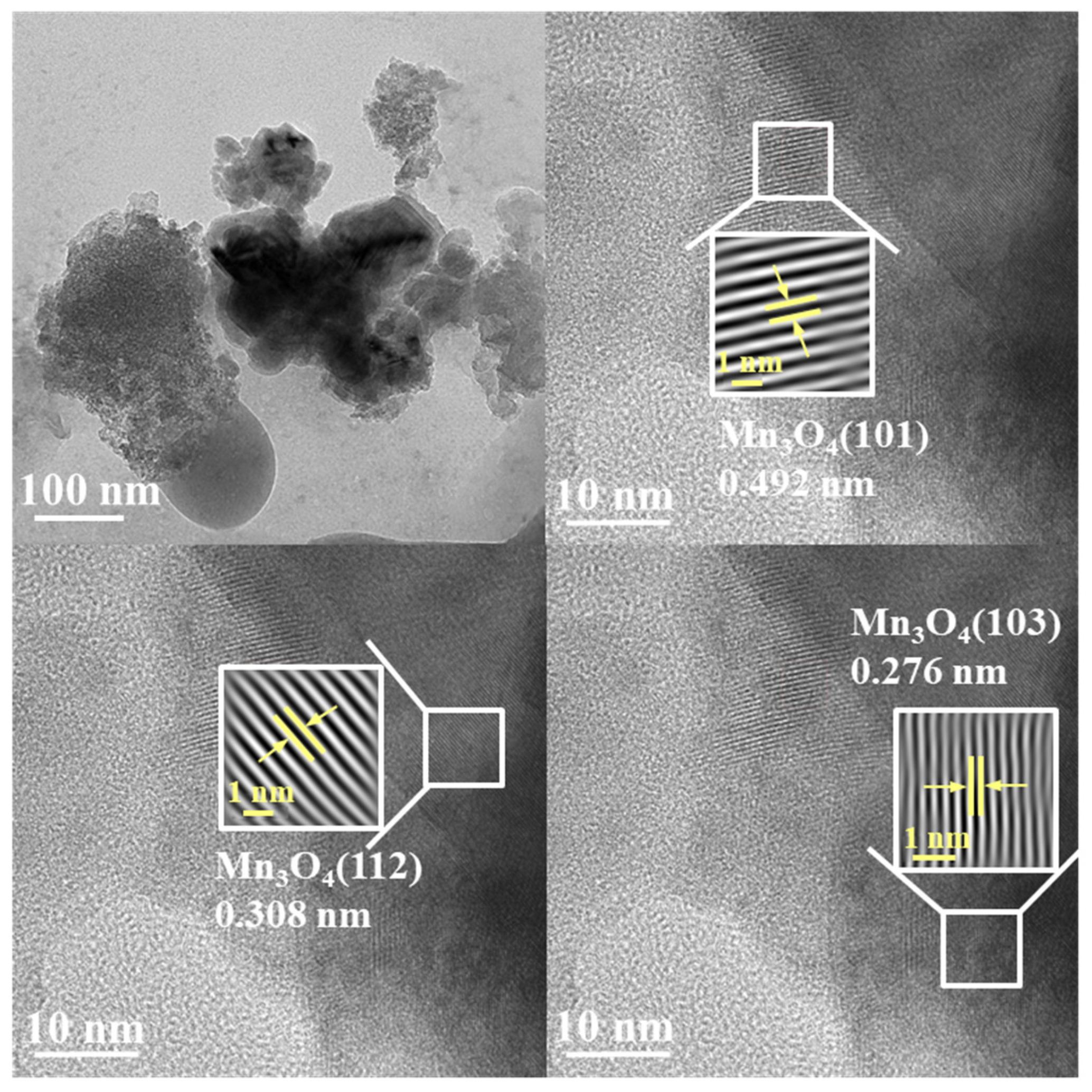 Toxics 11 00700 g004