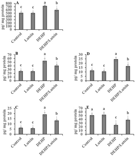 Toxics | Free Full-Text | Lutein Modulates Oxidative Stress, Inflammatory  and Apoptotic Biomarkers Related to Di-(2-Ethylhexyl) Phthalate (DEHP)  Hepato-Nephrotoxicity in Male Rats: Role of Nuclear Factor Kappa B