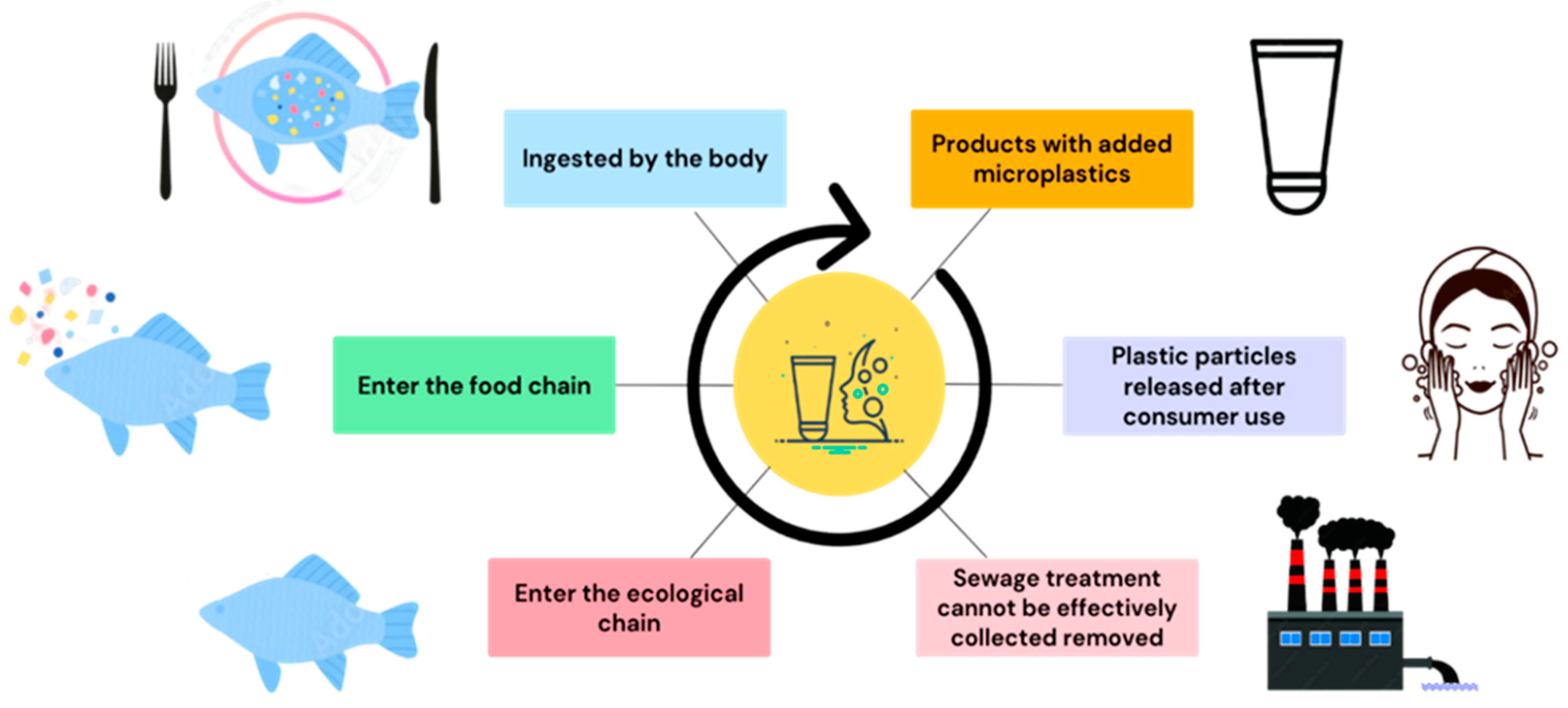 Toxics | Free Full-Text | Sources, Degradation, Ingestion and Effects of  Microplastics on Humans: A Review