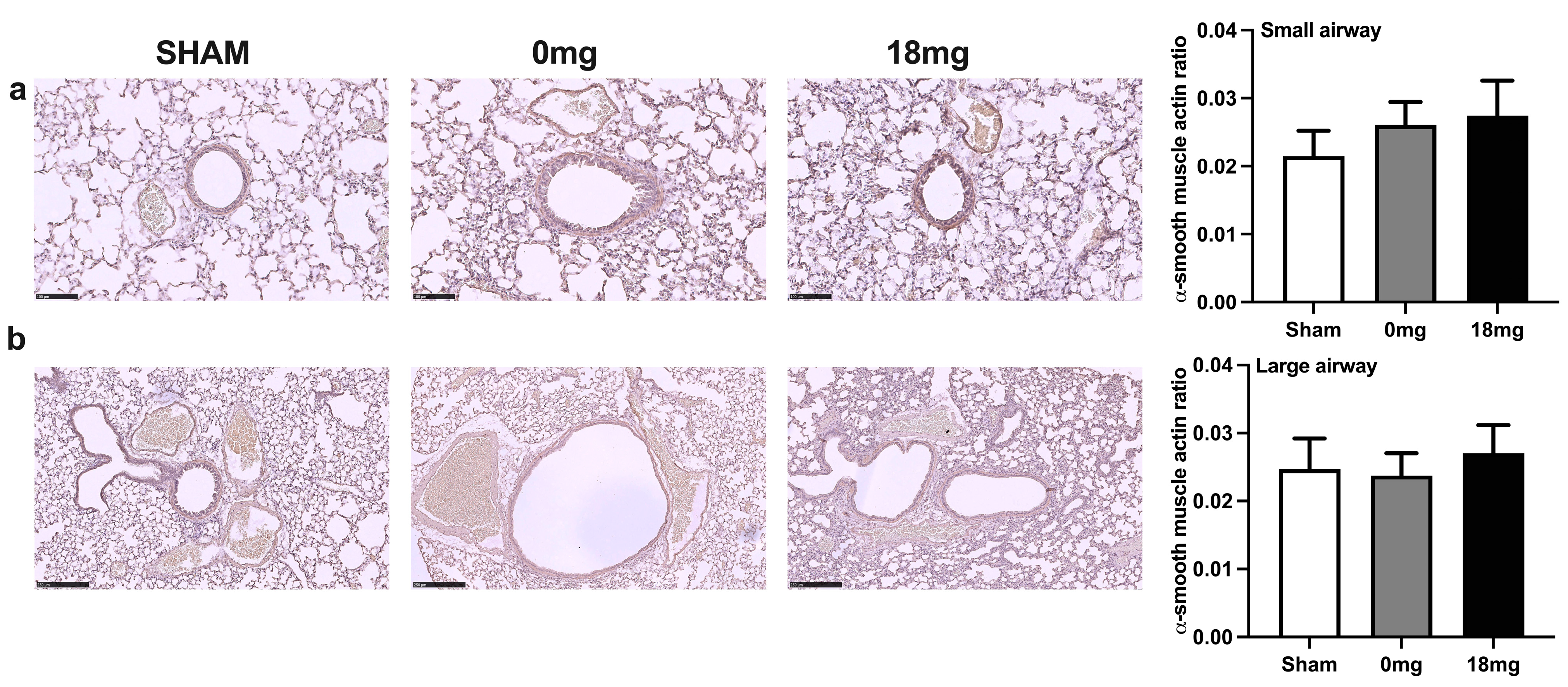Toxics 11 00749 g002