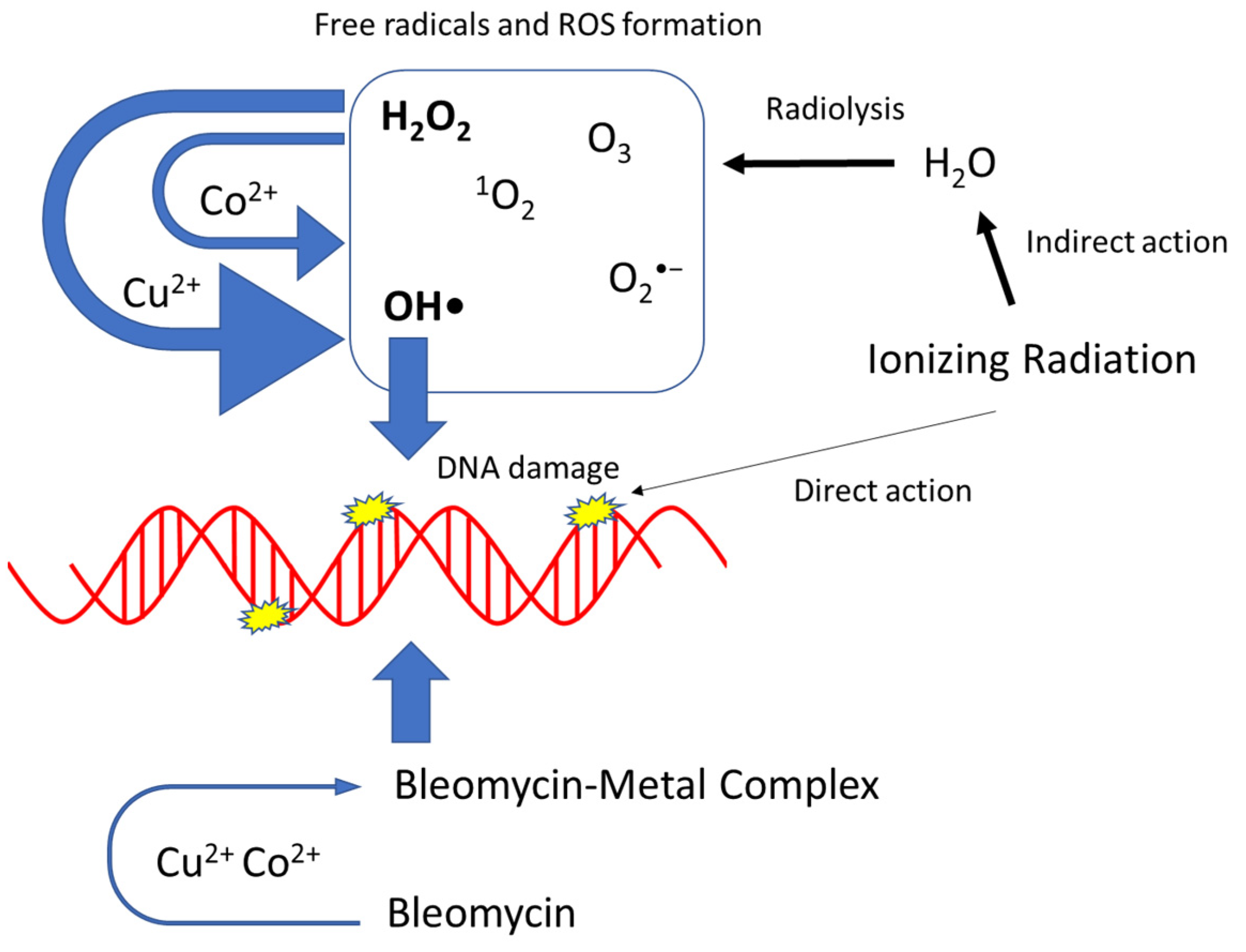 Toxics 11 00773 g004