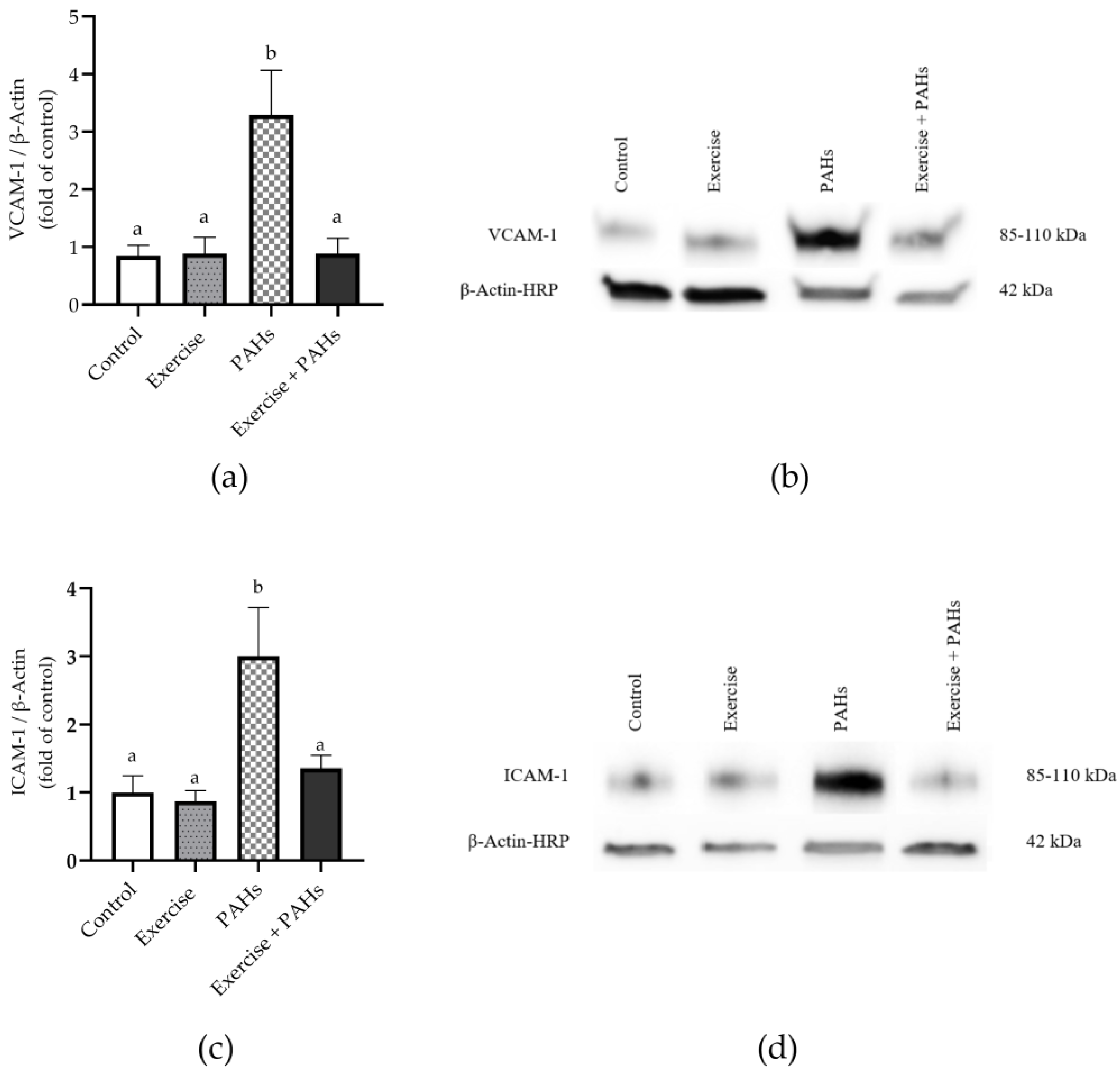 Toxics 11 00844 g005