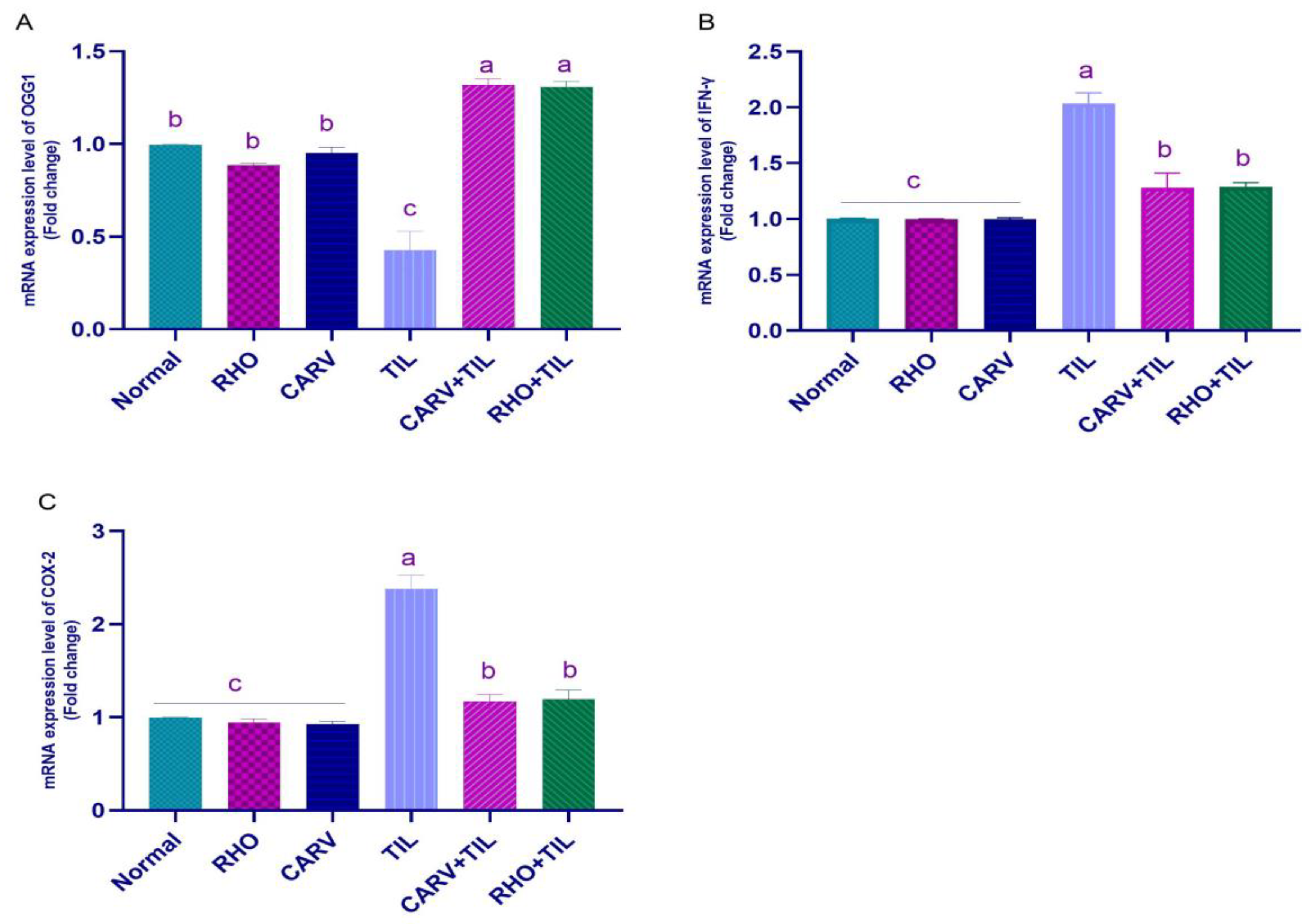 Toxics 11 00857 g003