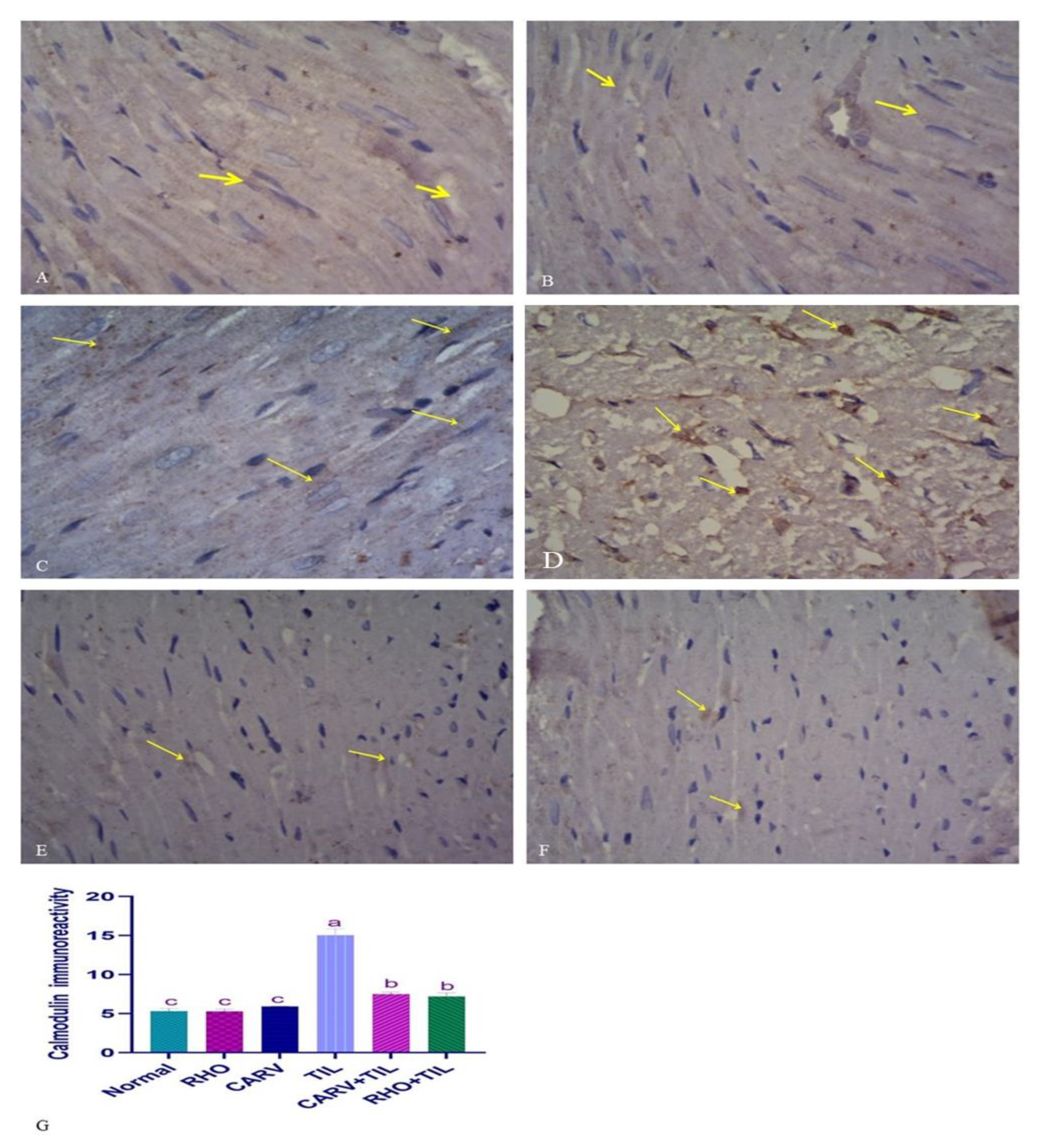 Toxics 11 00857 g006