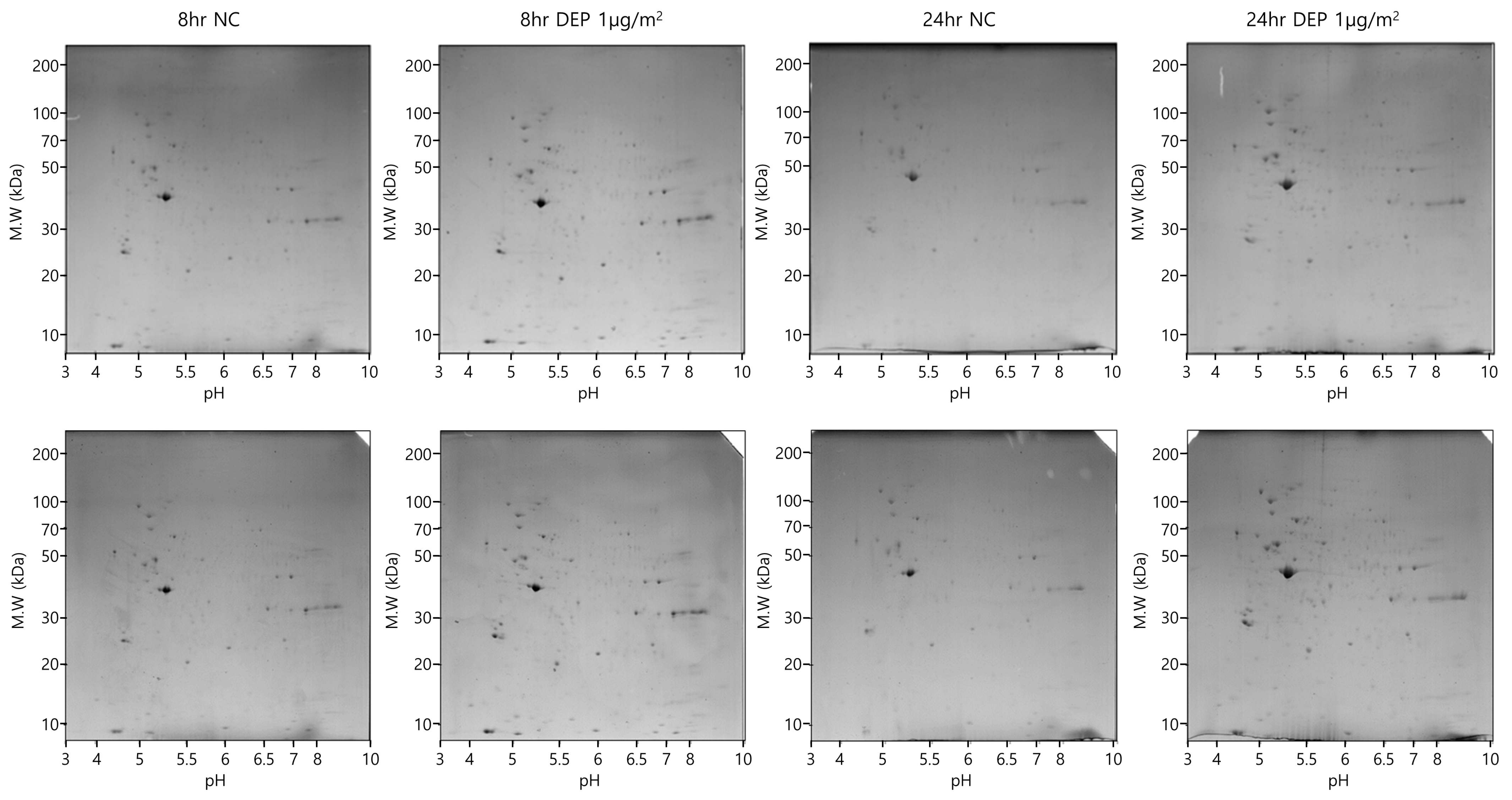 Toxics 11 00859 g002 Toxics 11 00859 g002