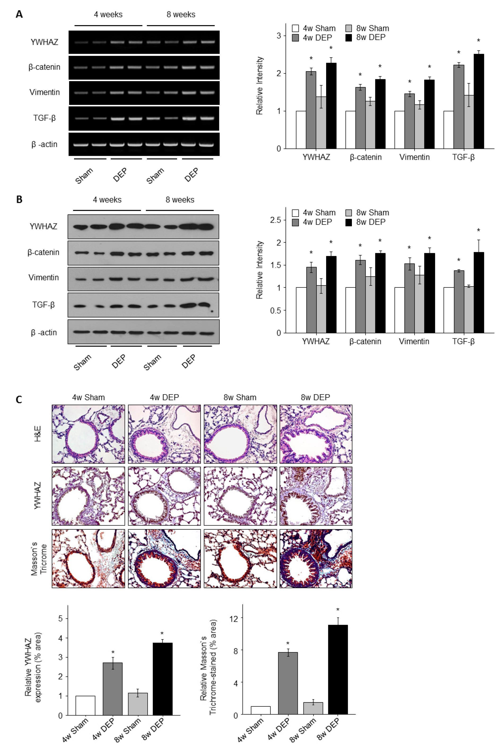 Toxics 11 00859 g010 Toxics 11 00859 g010