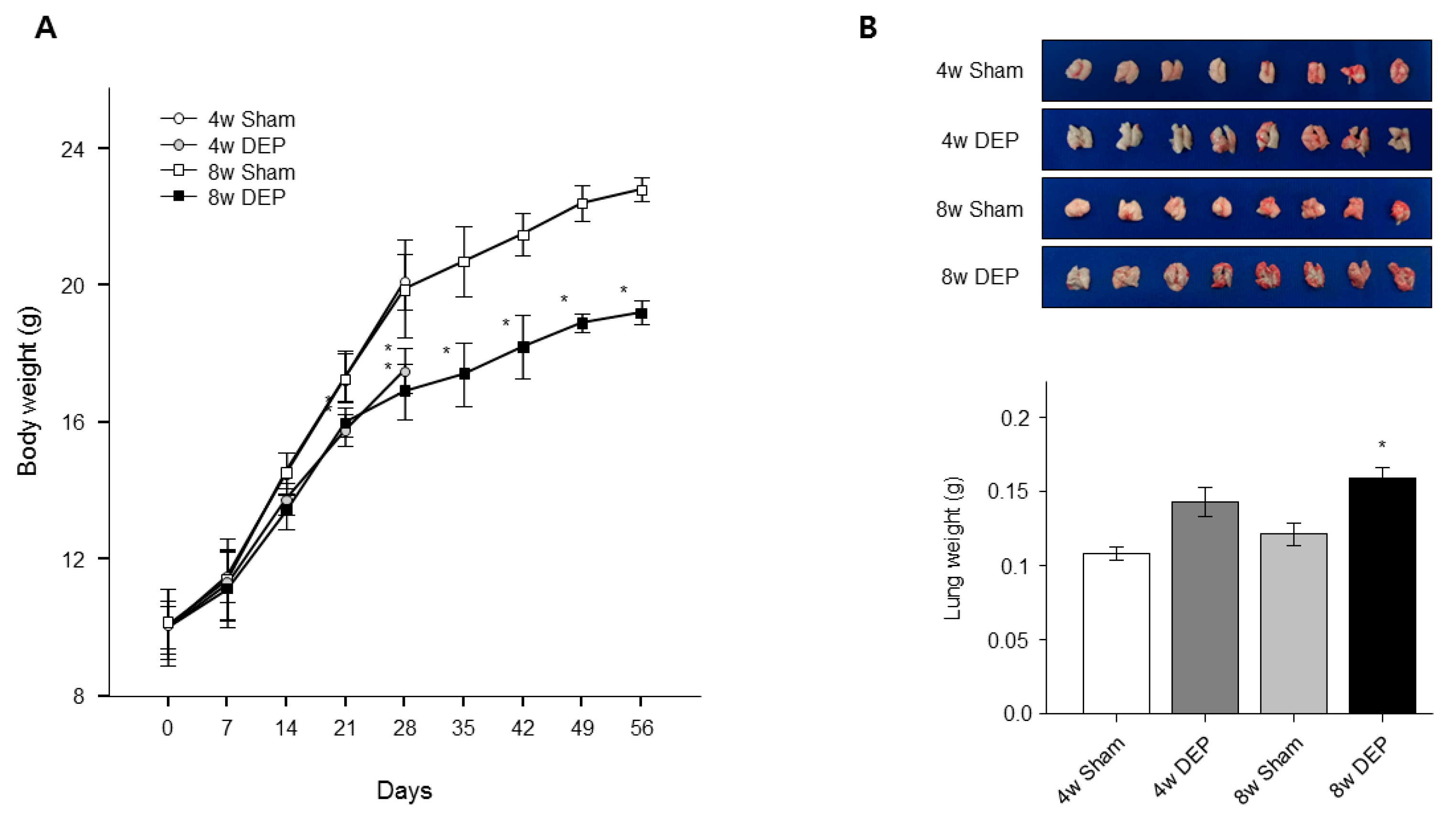 Toxics 11 00859 g011 Toxics 11 00859 g011