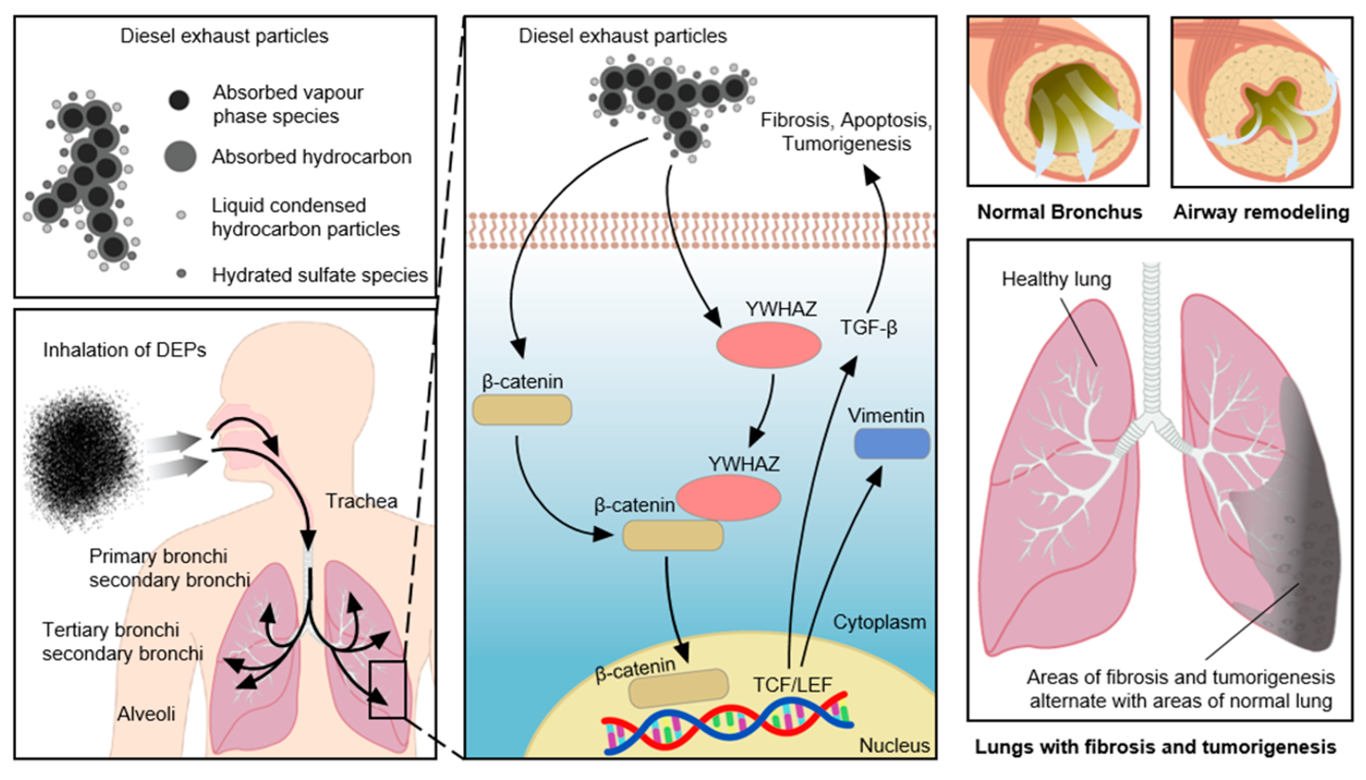 Toxics 11 00859 g012 Toxics 11 00859 g012