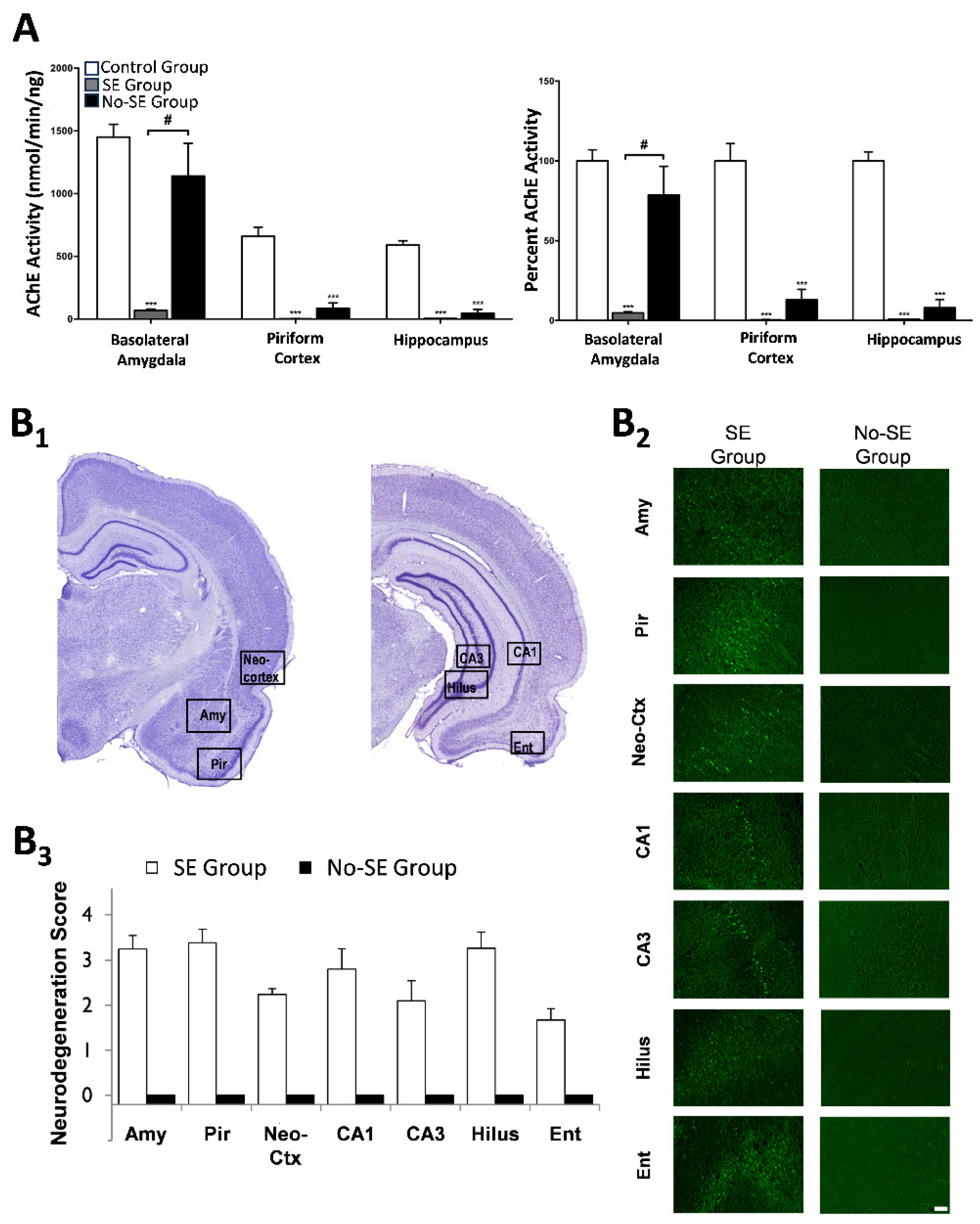 Toxics 11 00866 g001