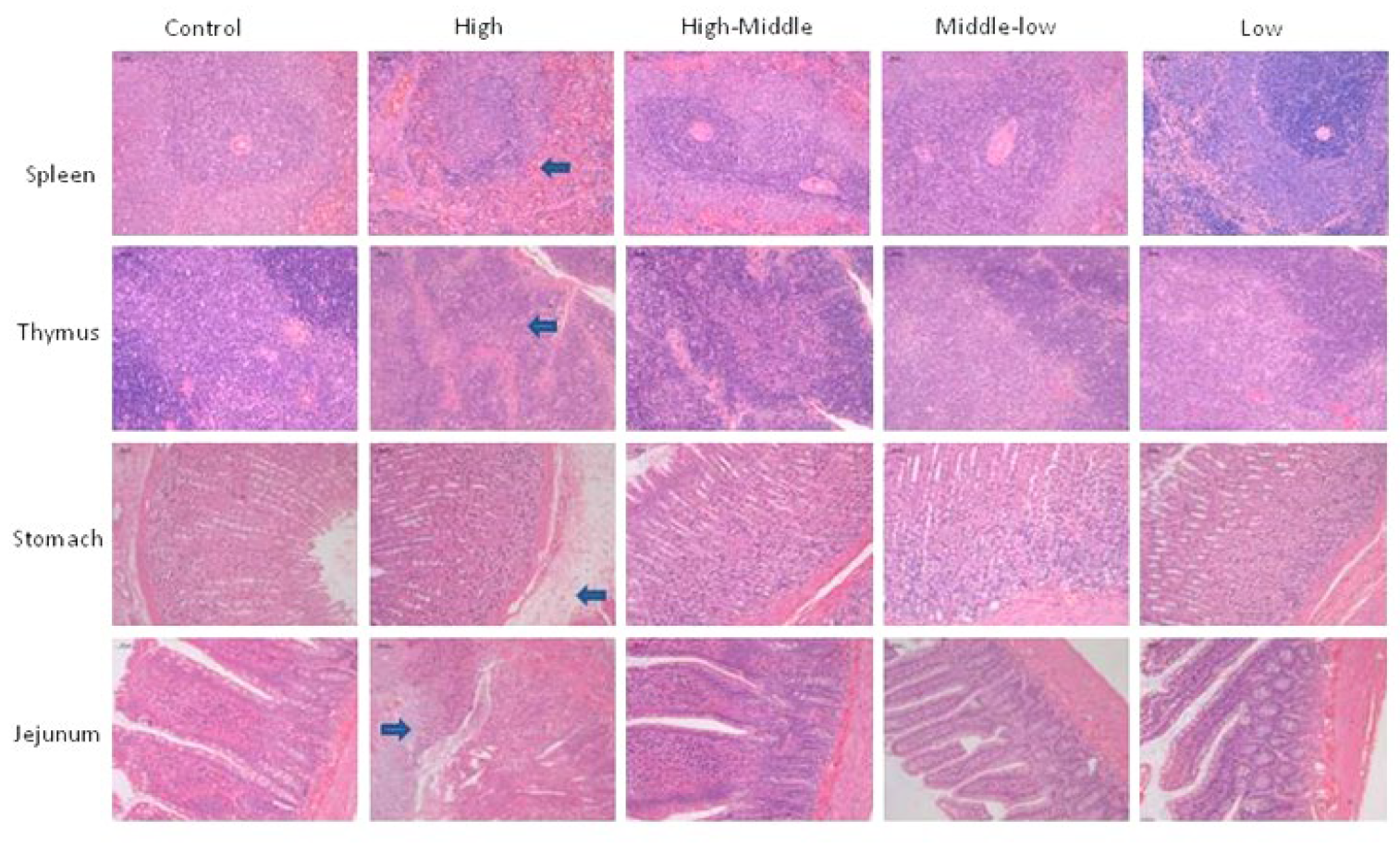 Toxics 11 00880 g003