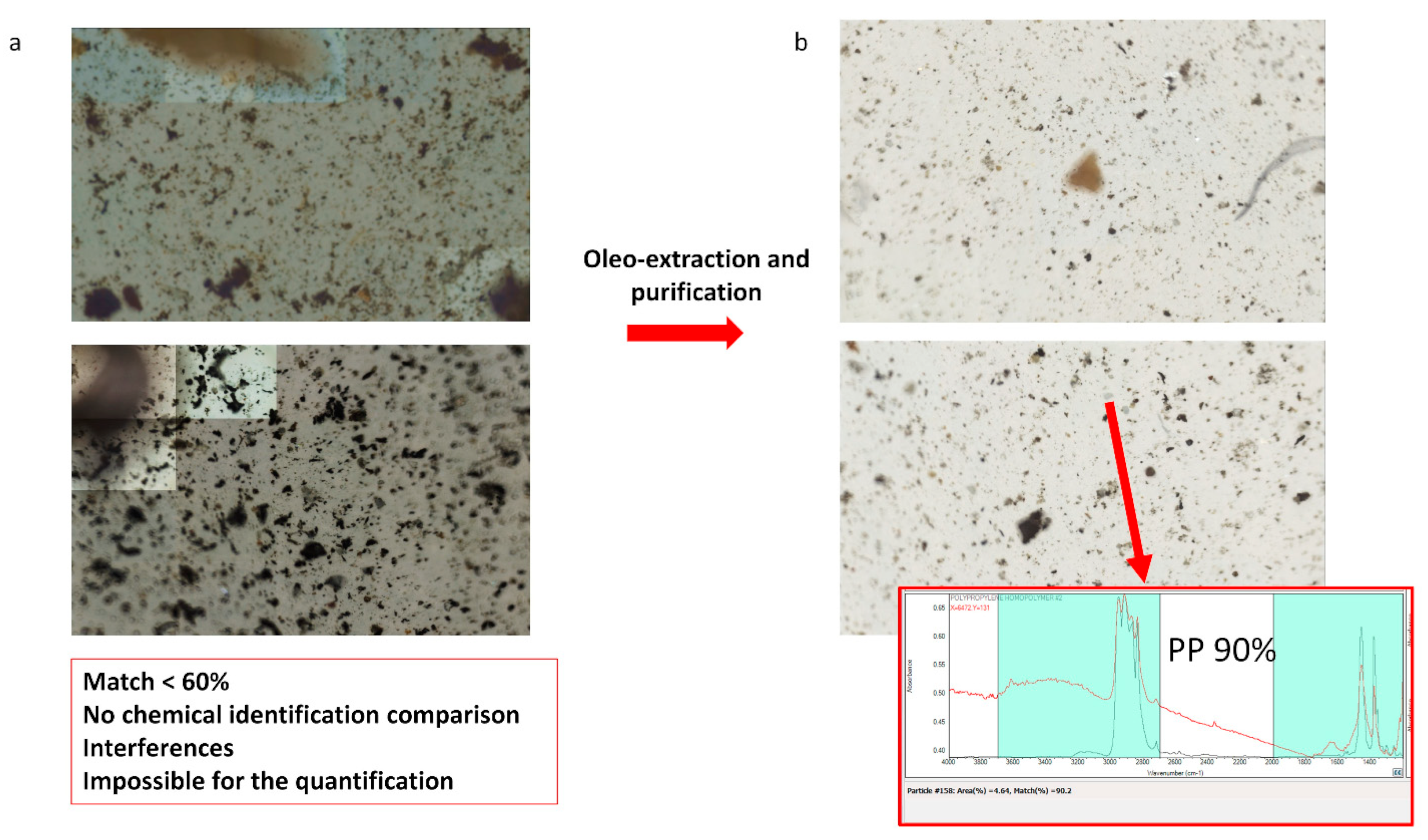 Toxics 11 00936 g002