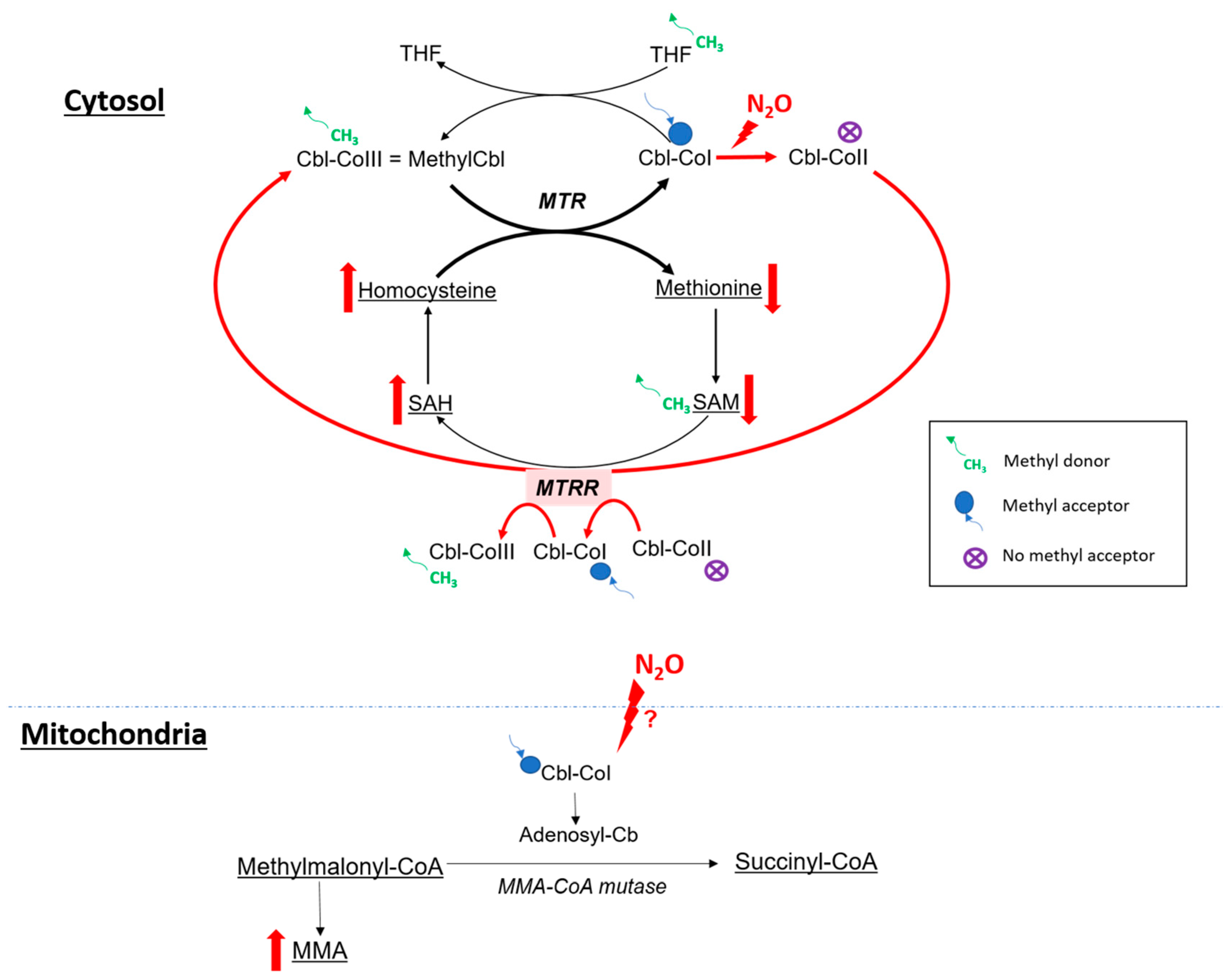 Toxics 11 00962 g003 Toxics 11 00962 g003
