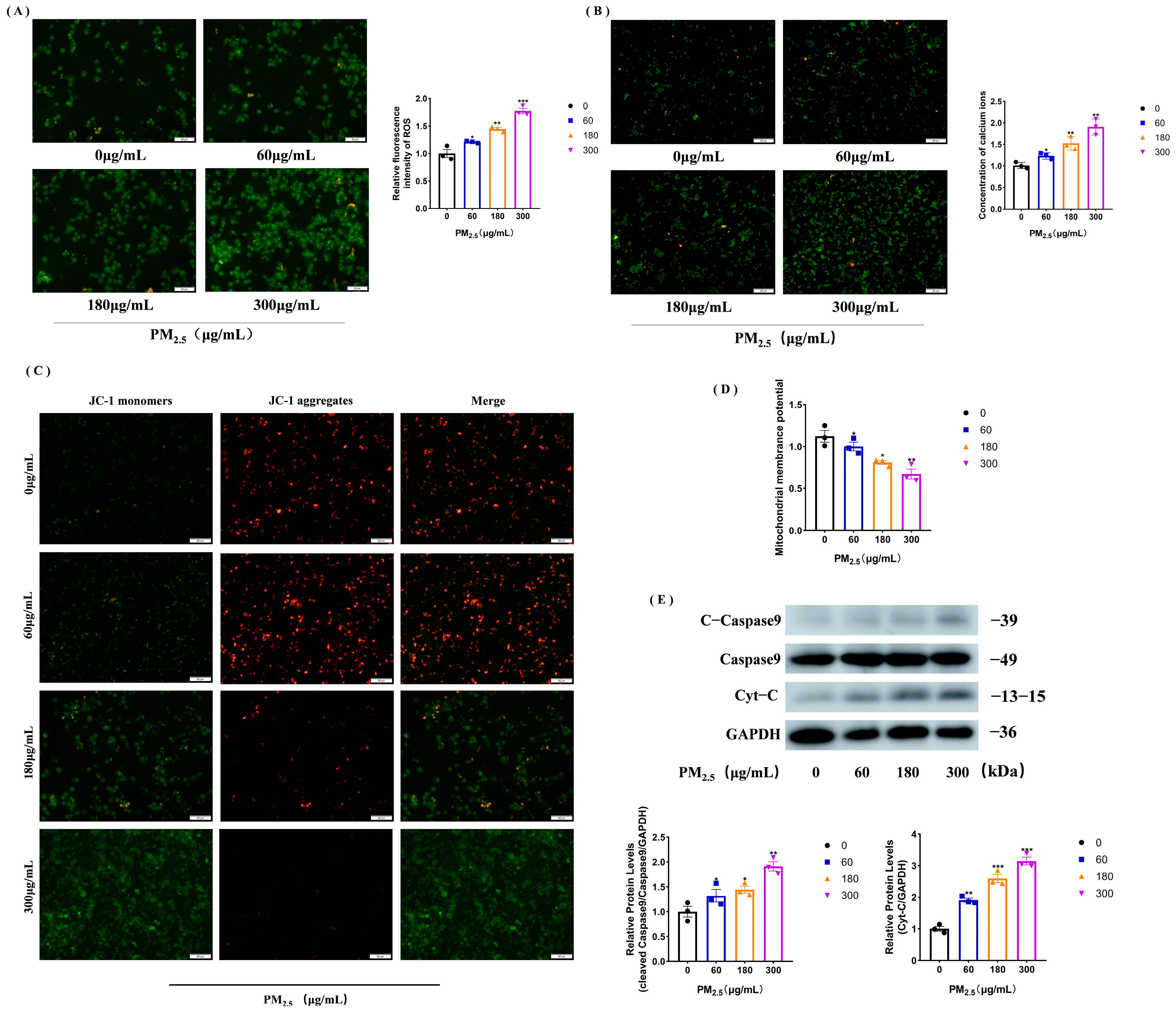Toxics 11 00981 g002