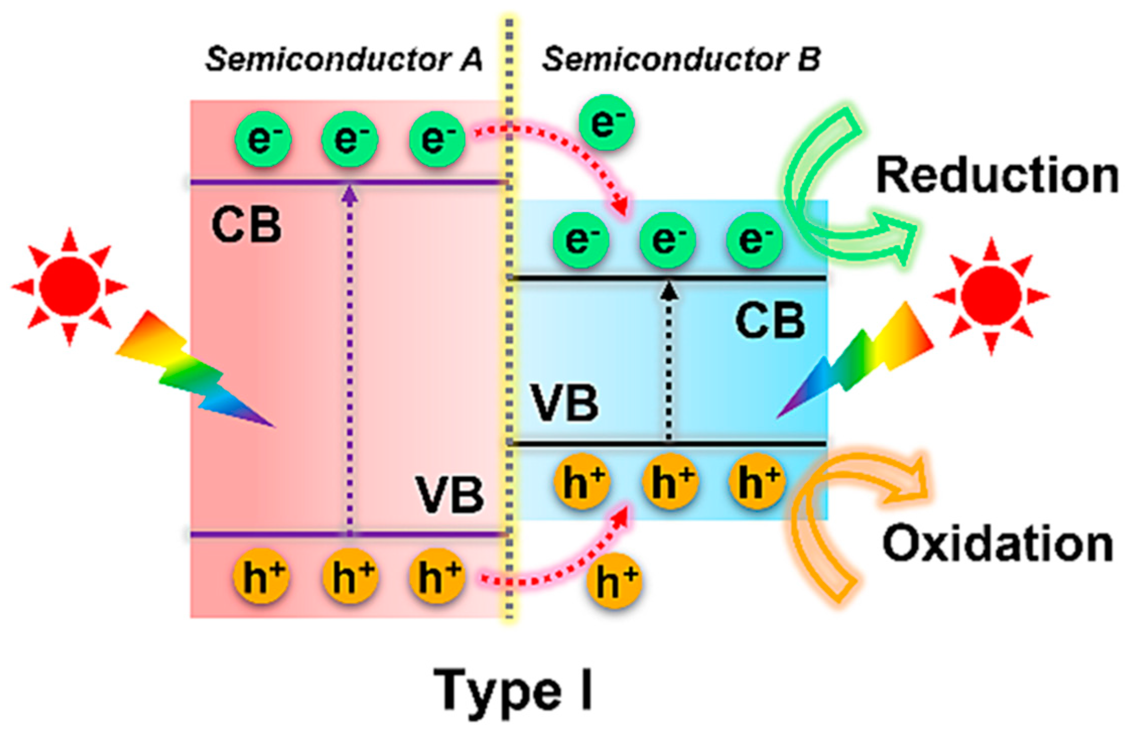 Toxics 11 00982 g001