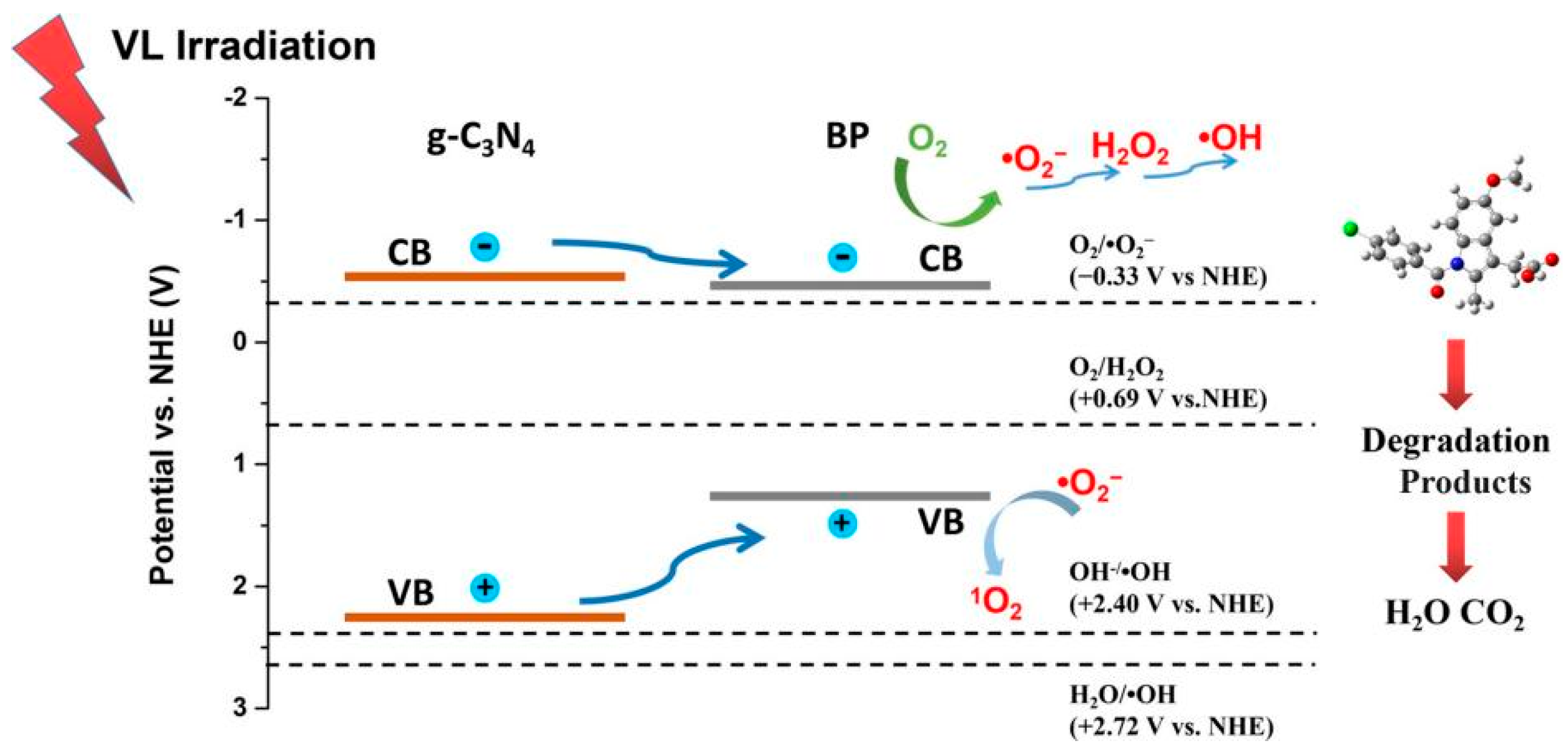 Toxics 11 00982 g003