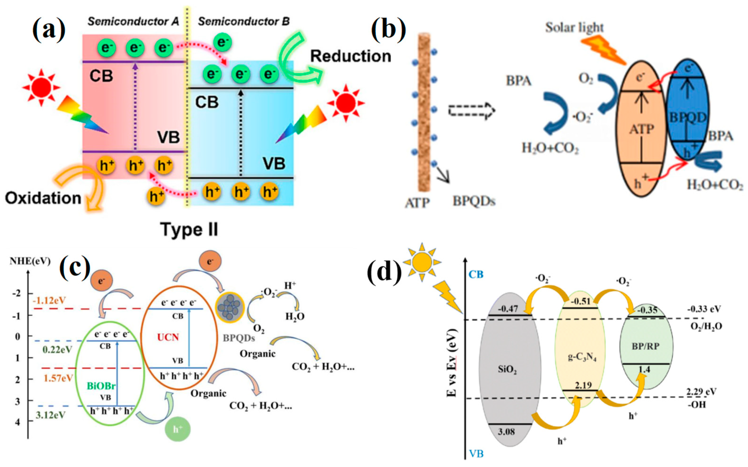 Toxics 11 00982 g004