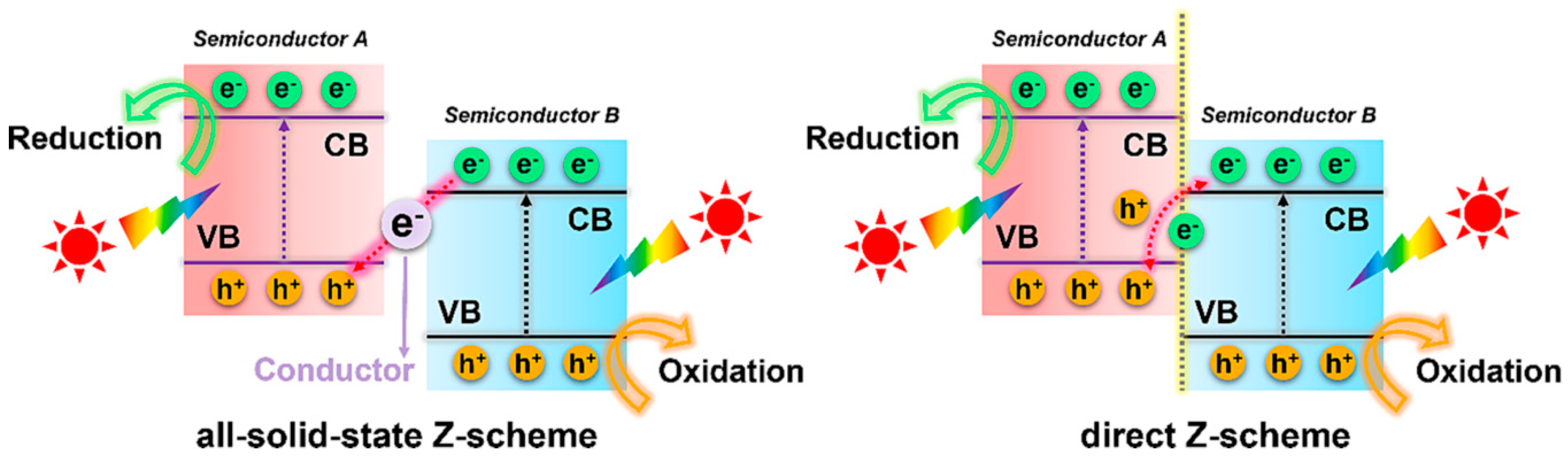 Toxics 11 00982 g005