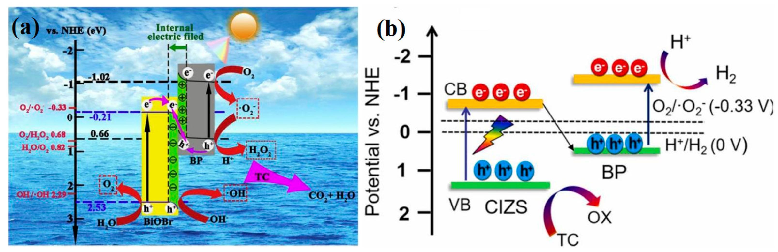 Toxics 11 00982 g010