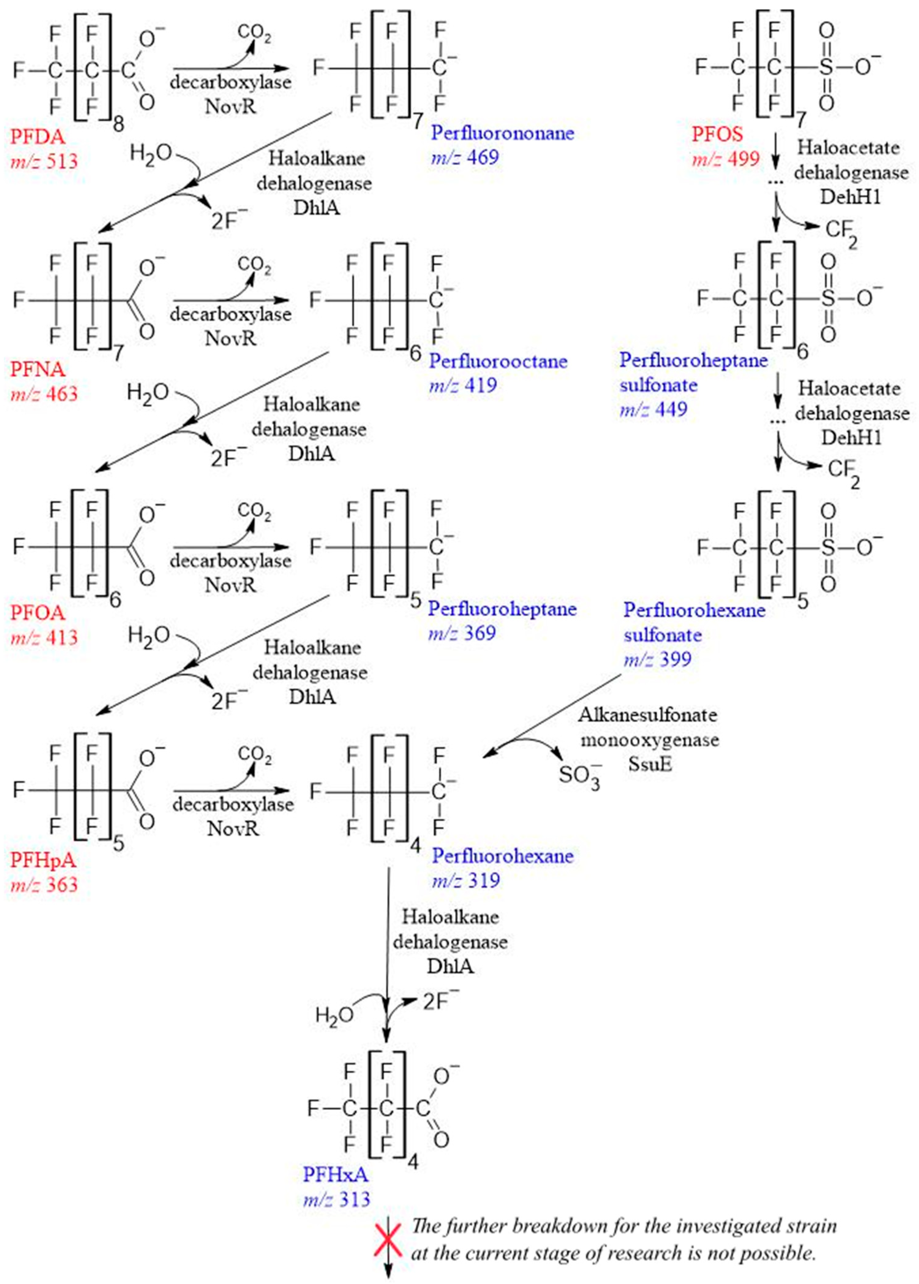 Toxics 11 01001 g003