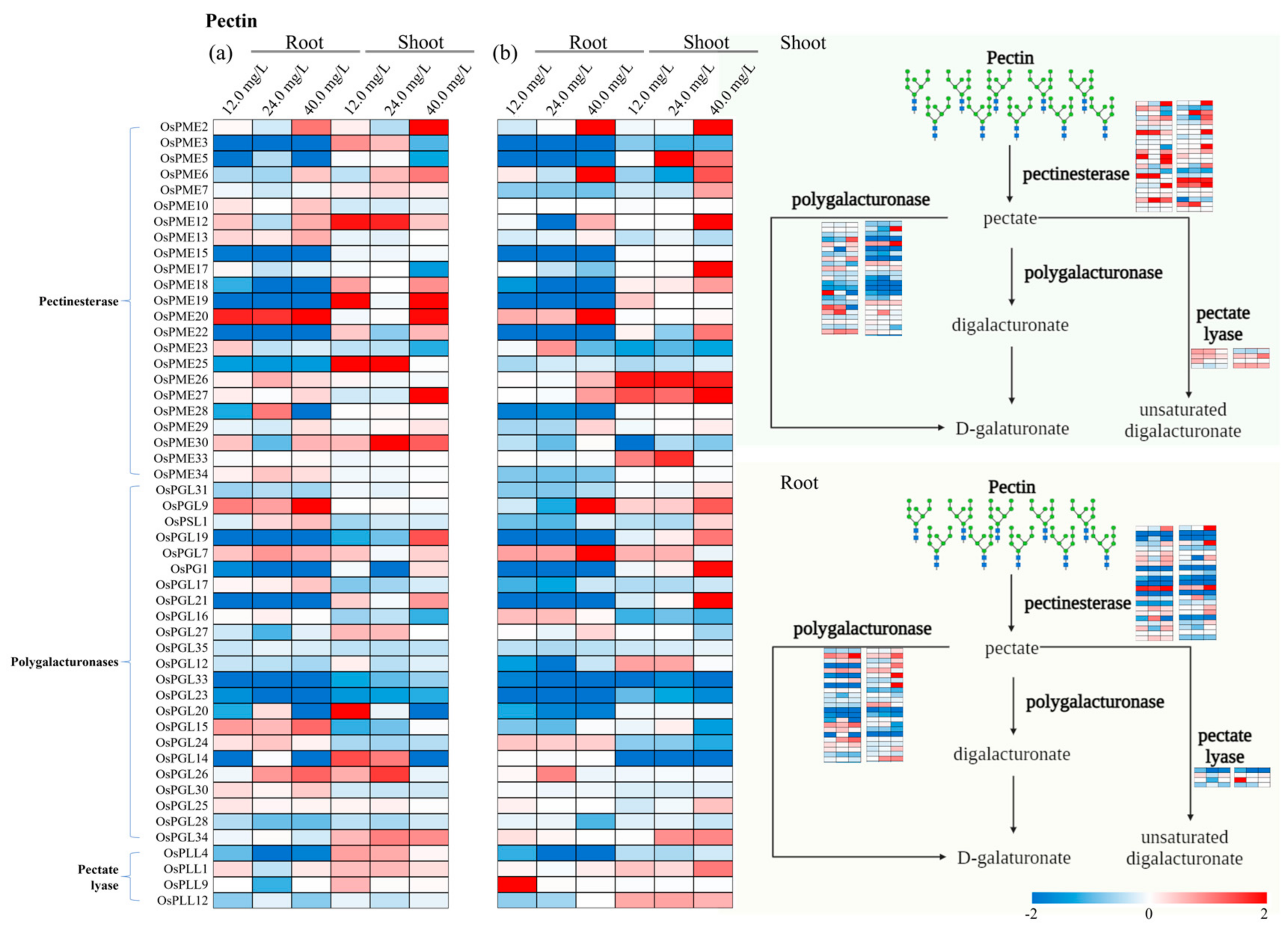 Toxics 12 00004 g007