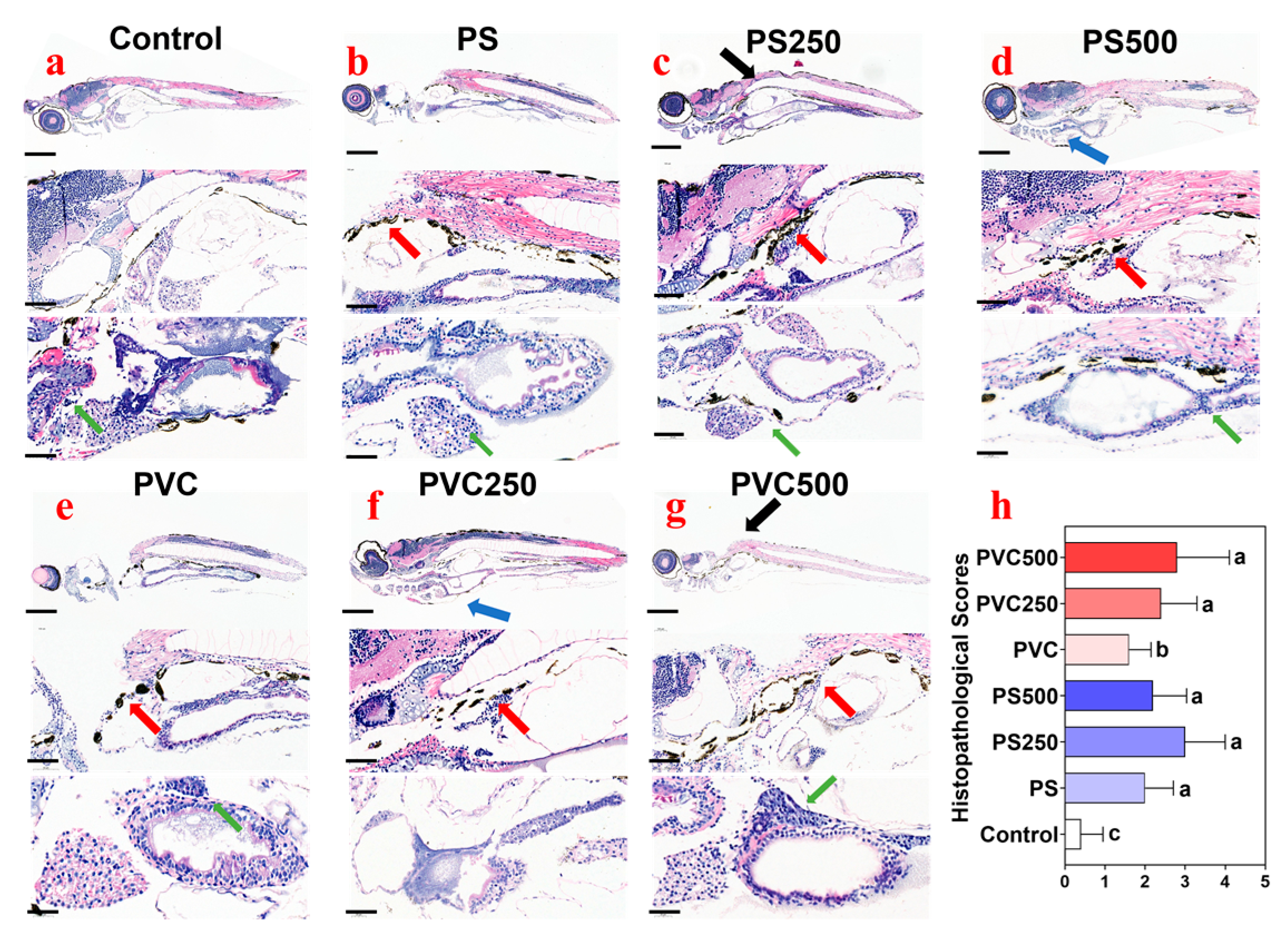 Toxics 12 00009 g003