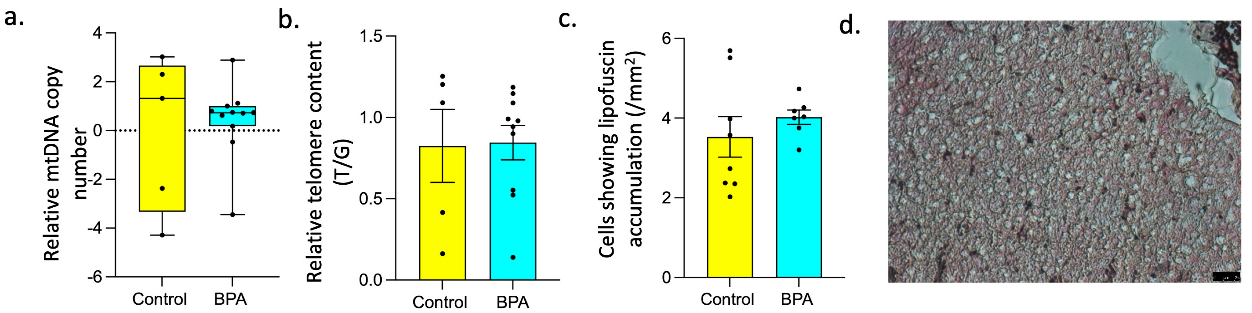 Toxics 12 00015 g004