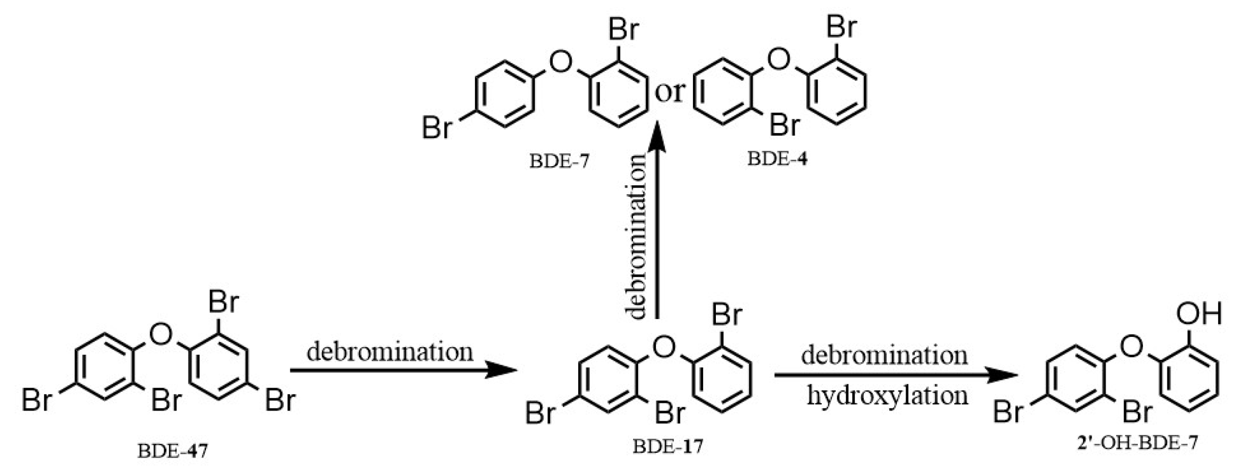Toxics 12 00033 g007