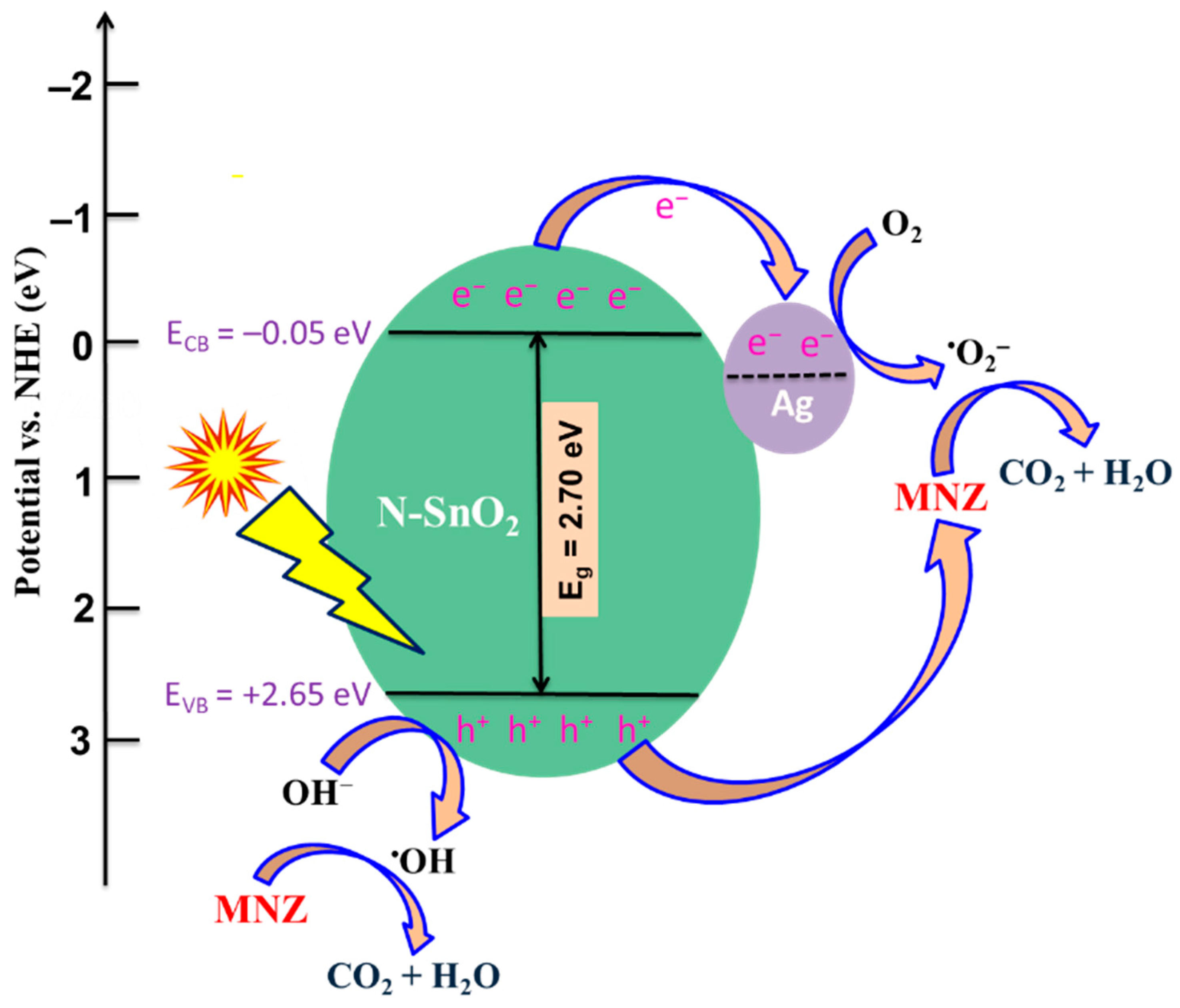 Toxics 12 00036 g012