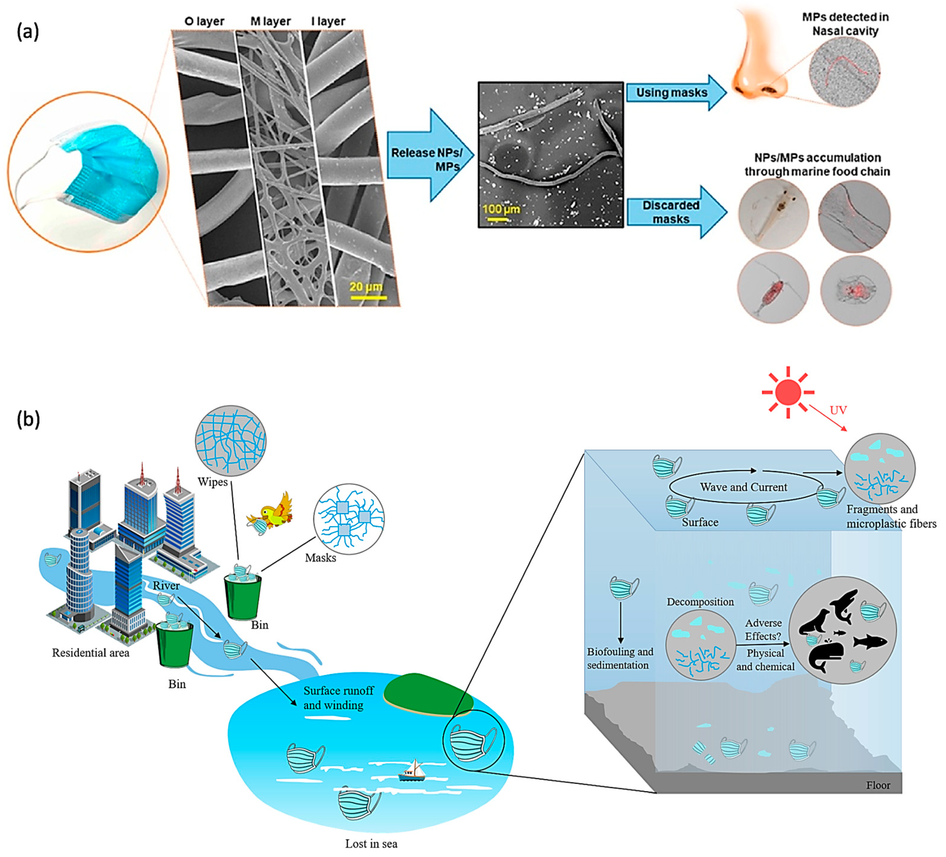 Toxics 12 00061 g001
