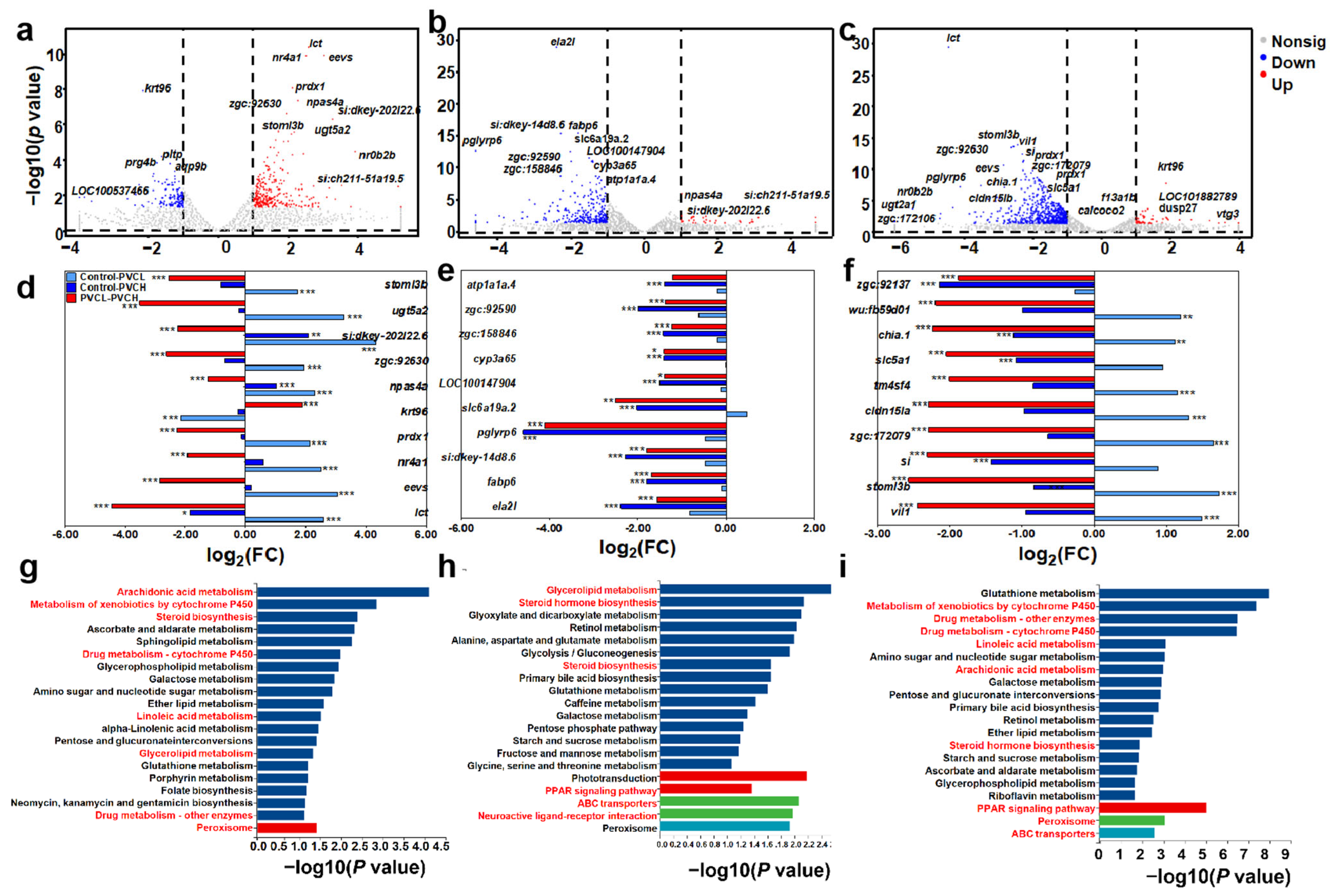 Toxics 12 00064 g004