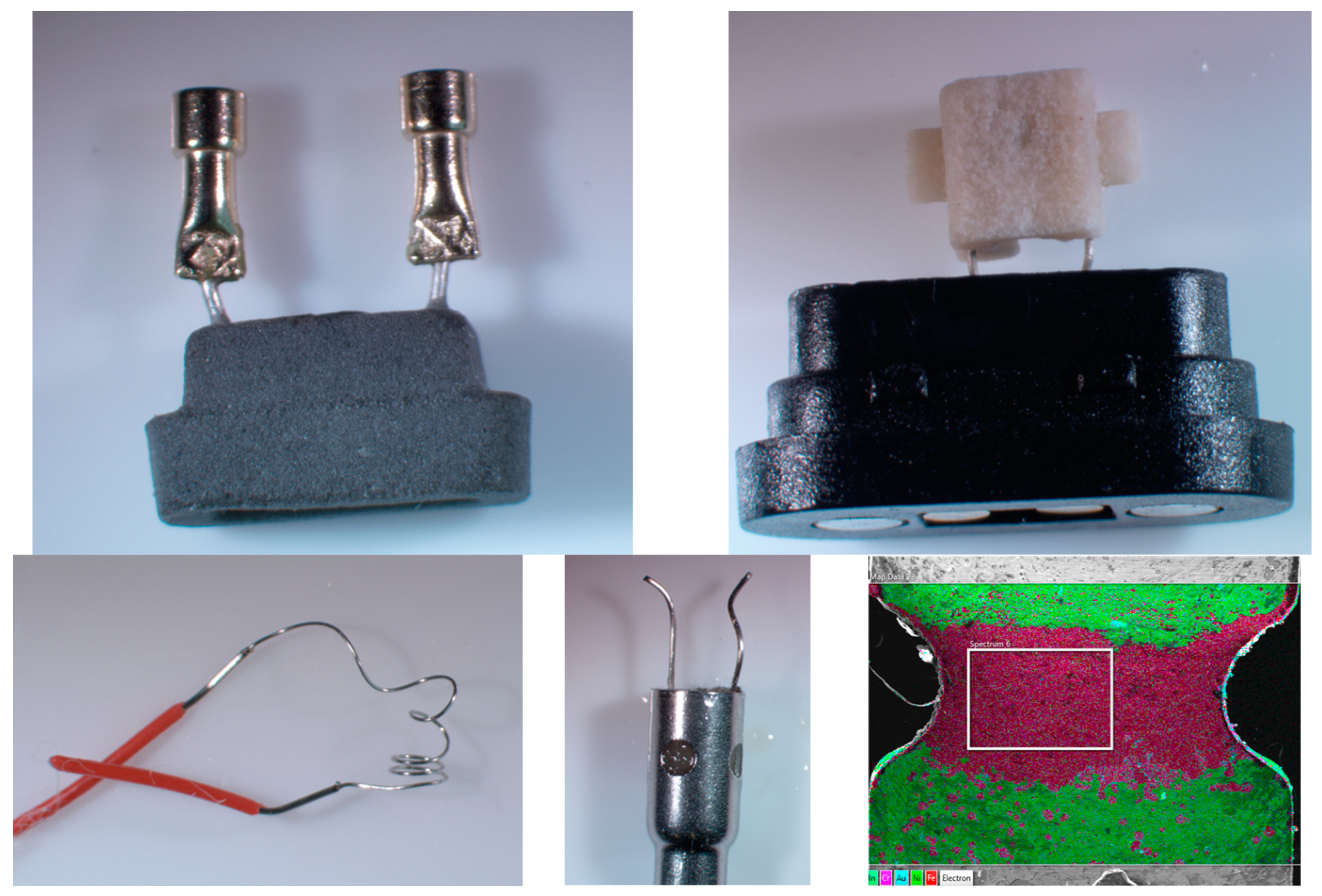 Toxics 12 00065 g001