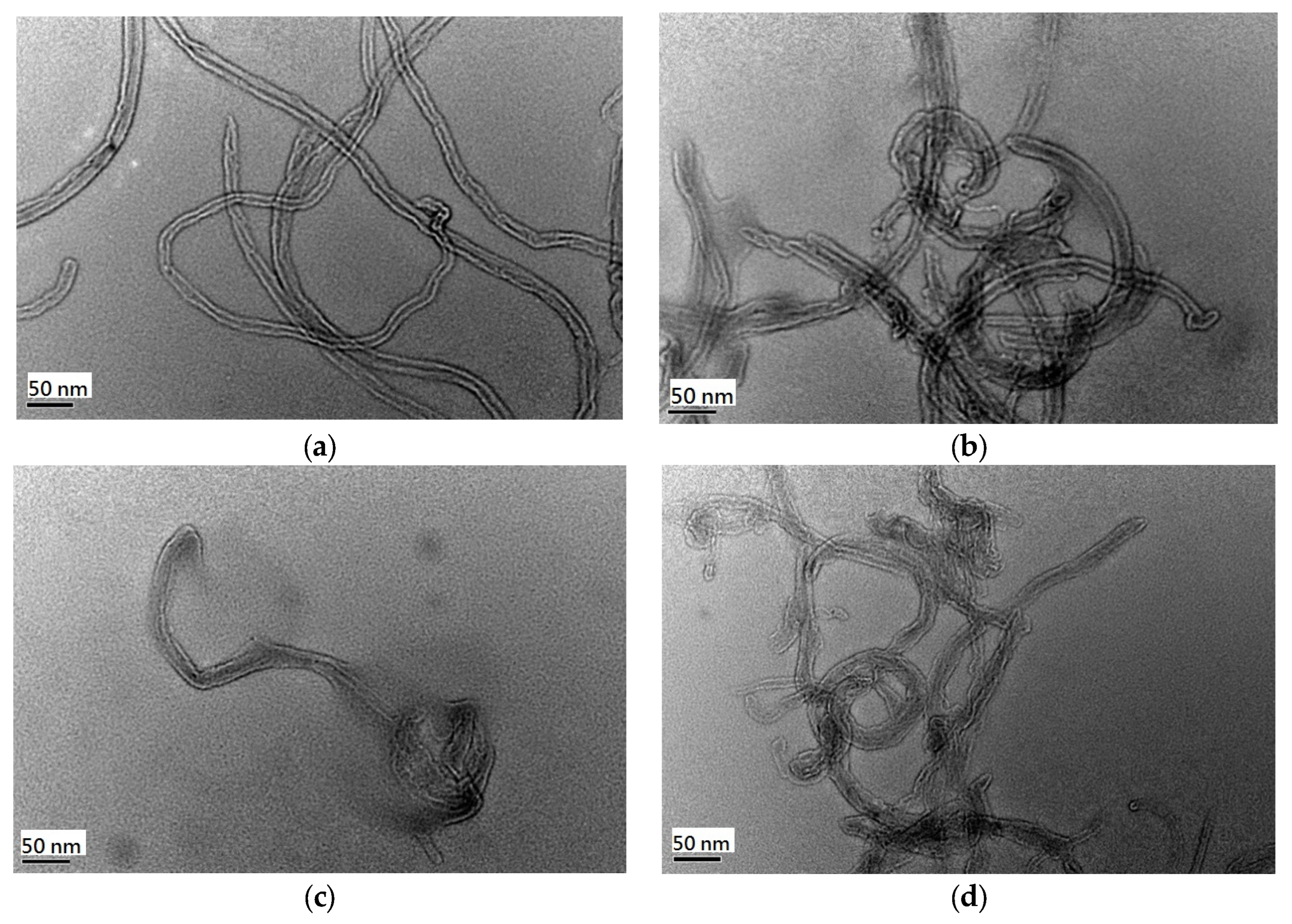Toxics 12 00088 g008