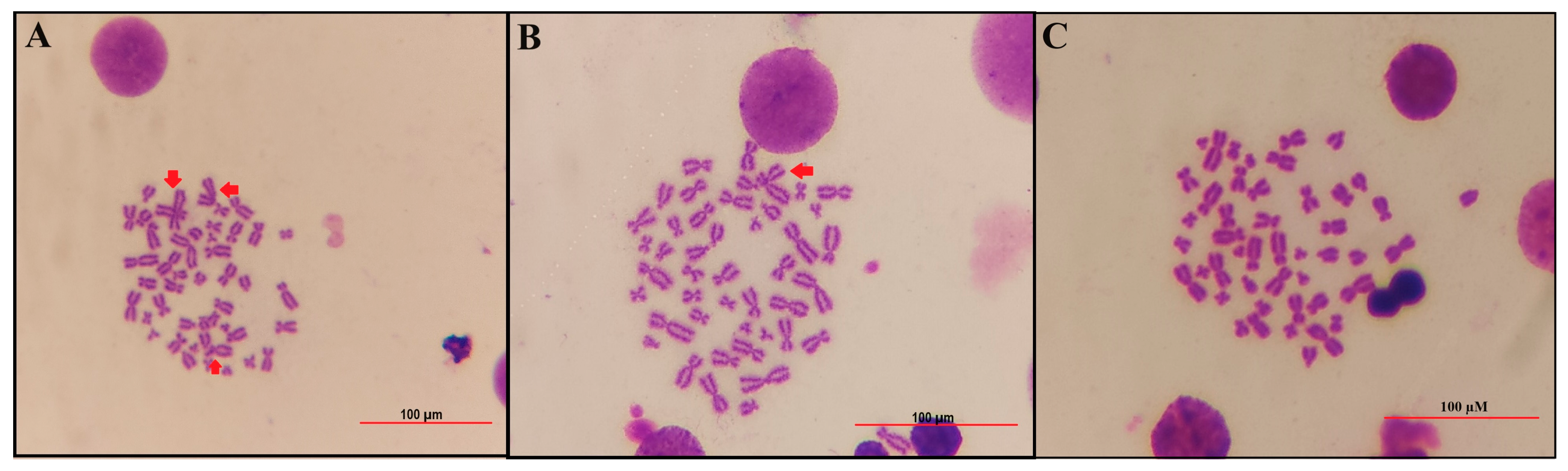 Toxics 12 00098 g004