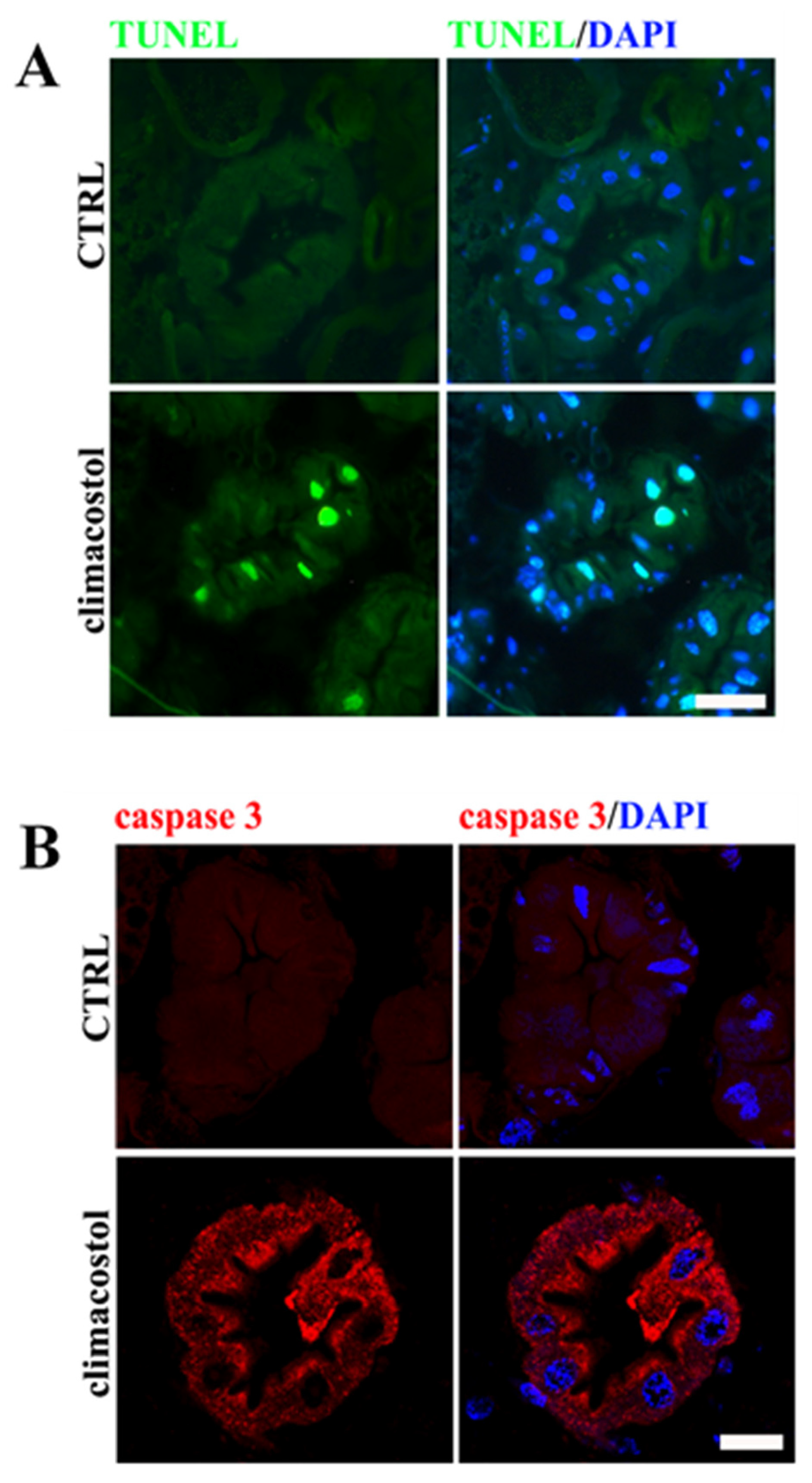 Toxics 12 00102 g002