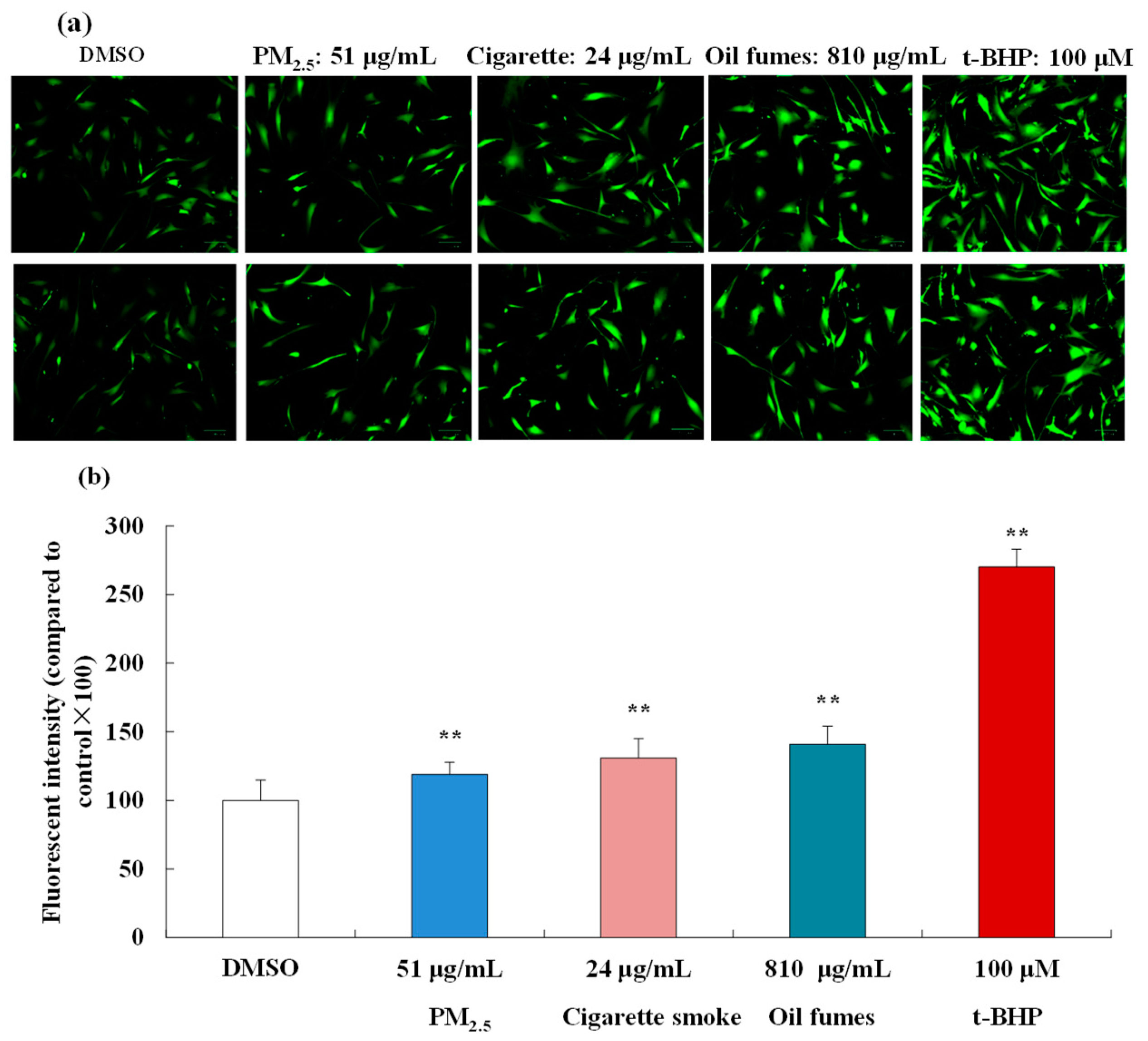 Toxics 12 00108 g002 Toxics 12 00108 g002