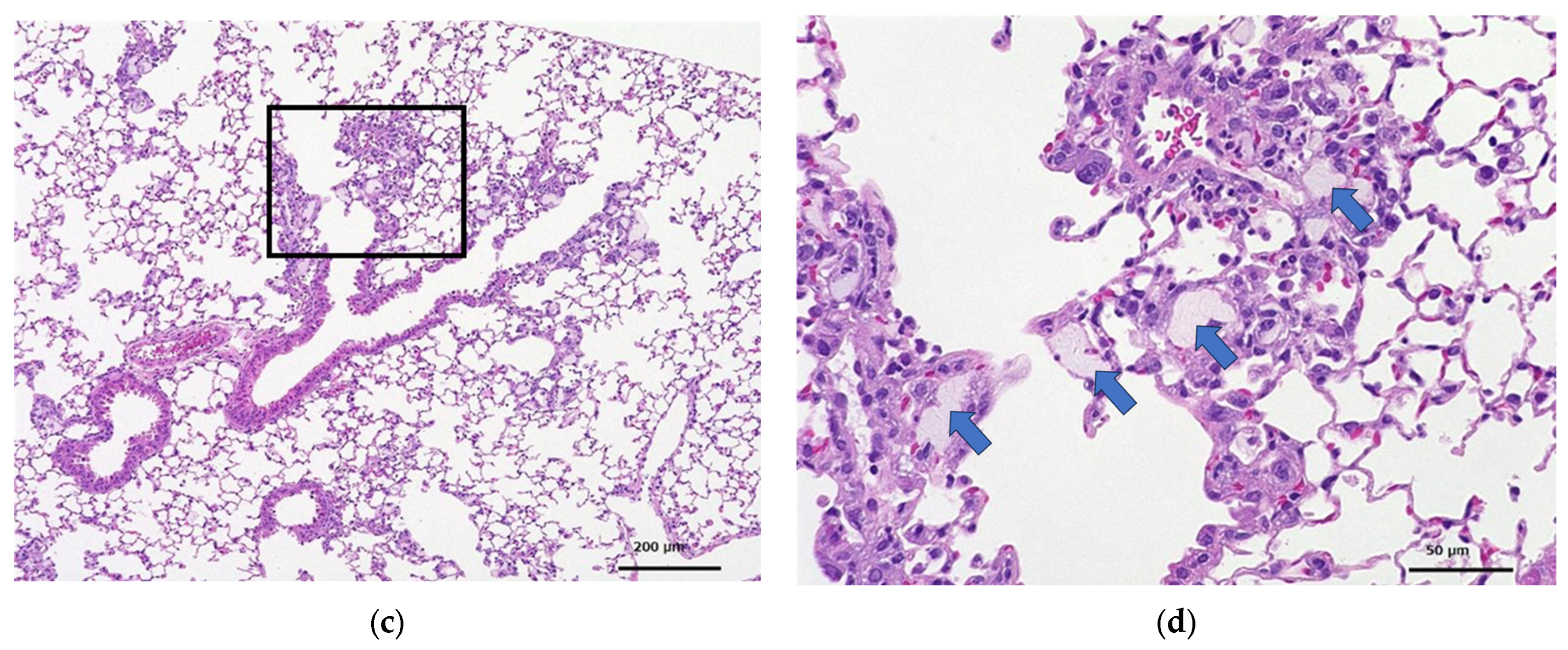 Toxics 12 00121 g003b