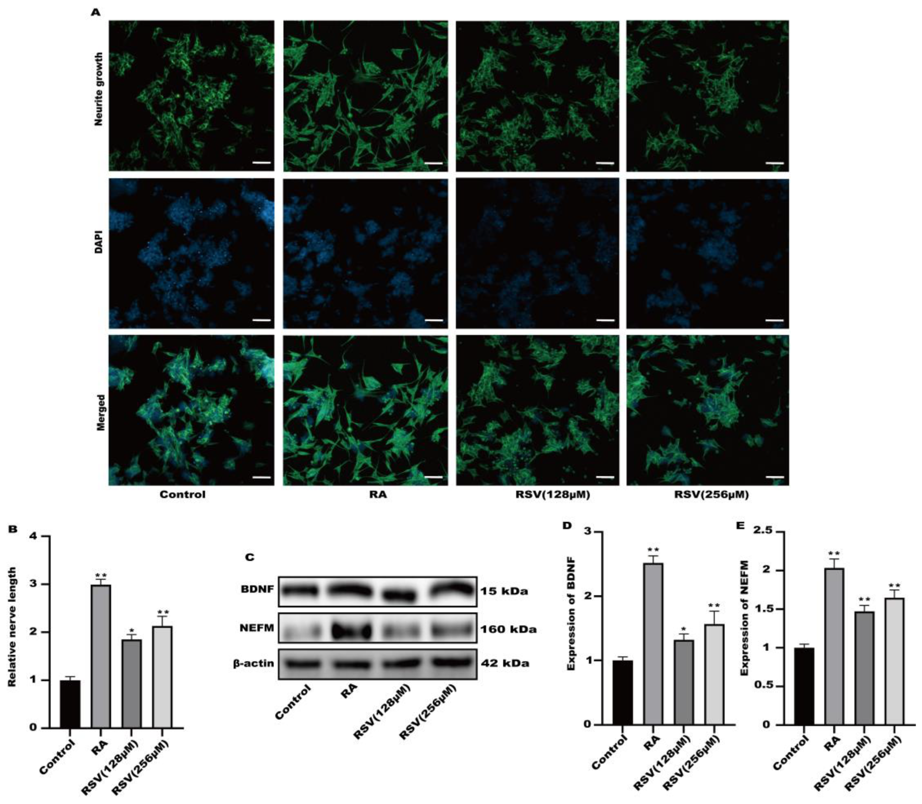 Toxics 12 00122 g002