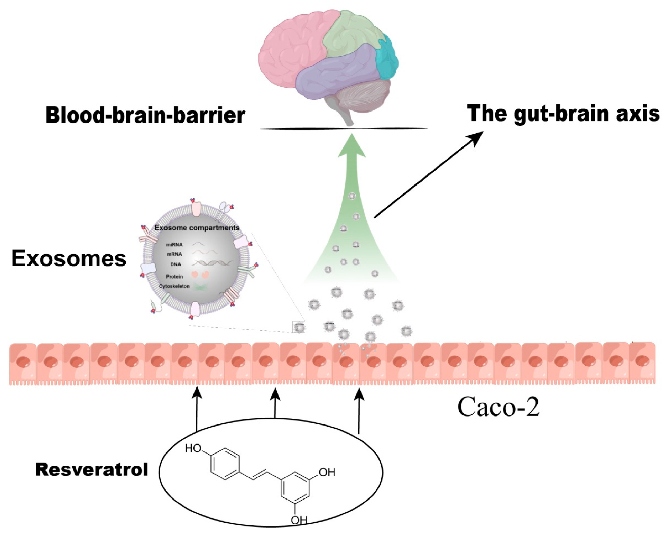 Toxics 12 00122 g009