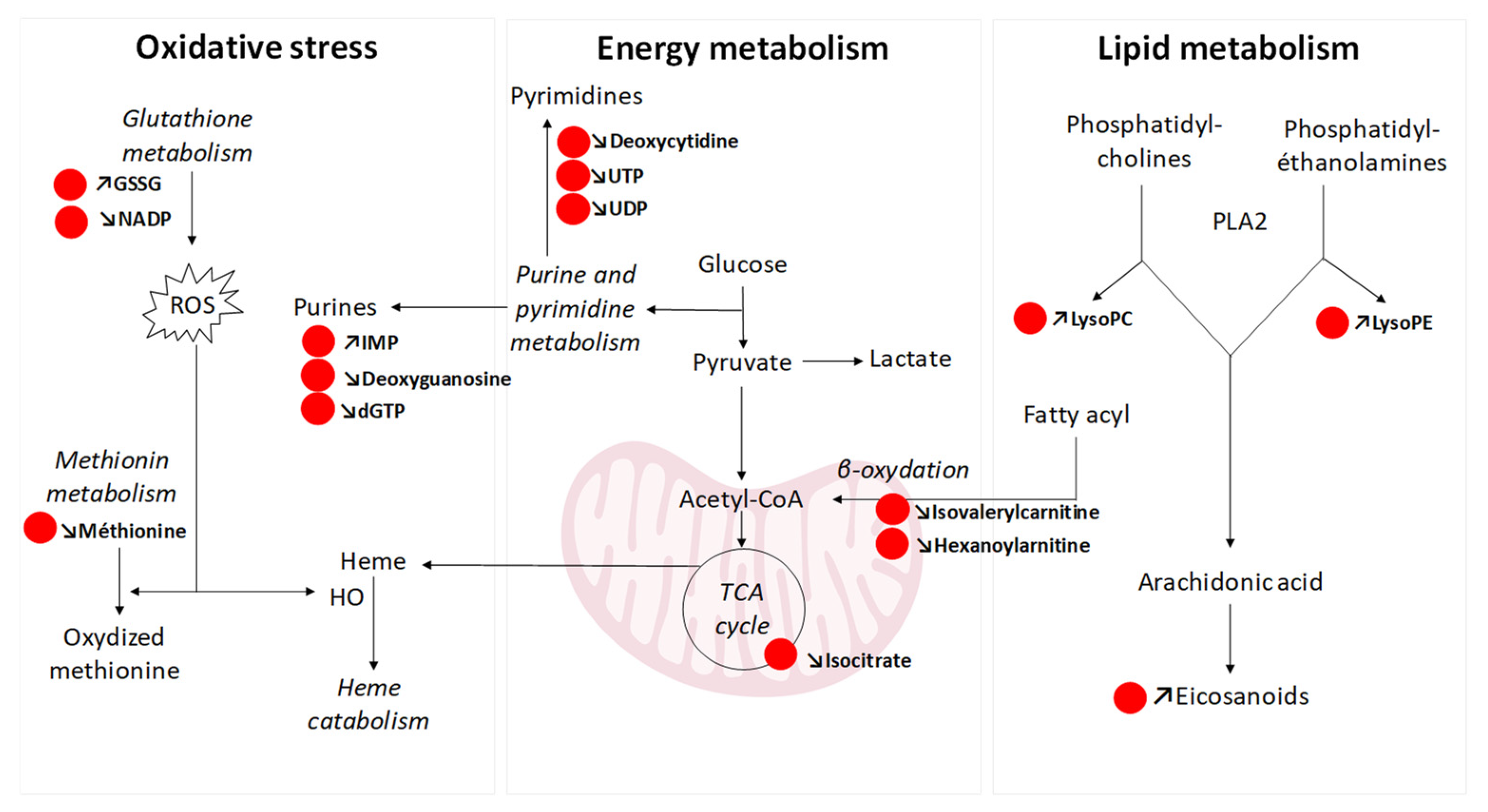 Toxics 12 00128 g006