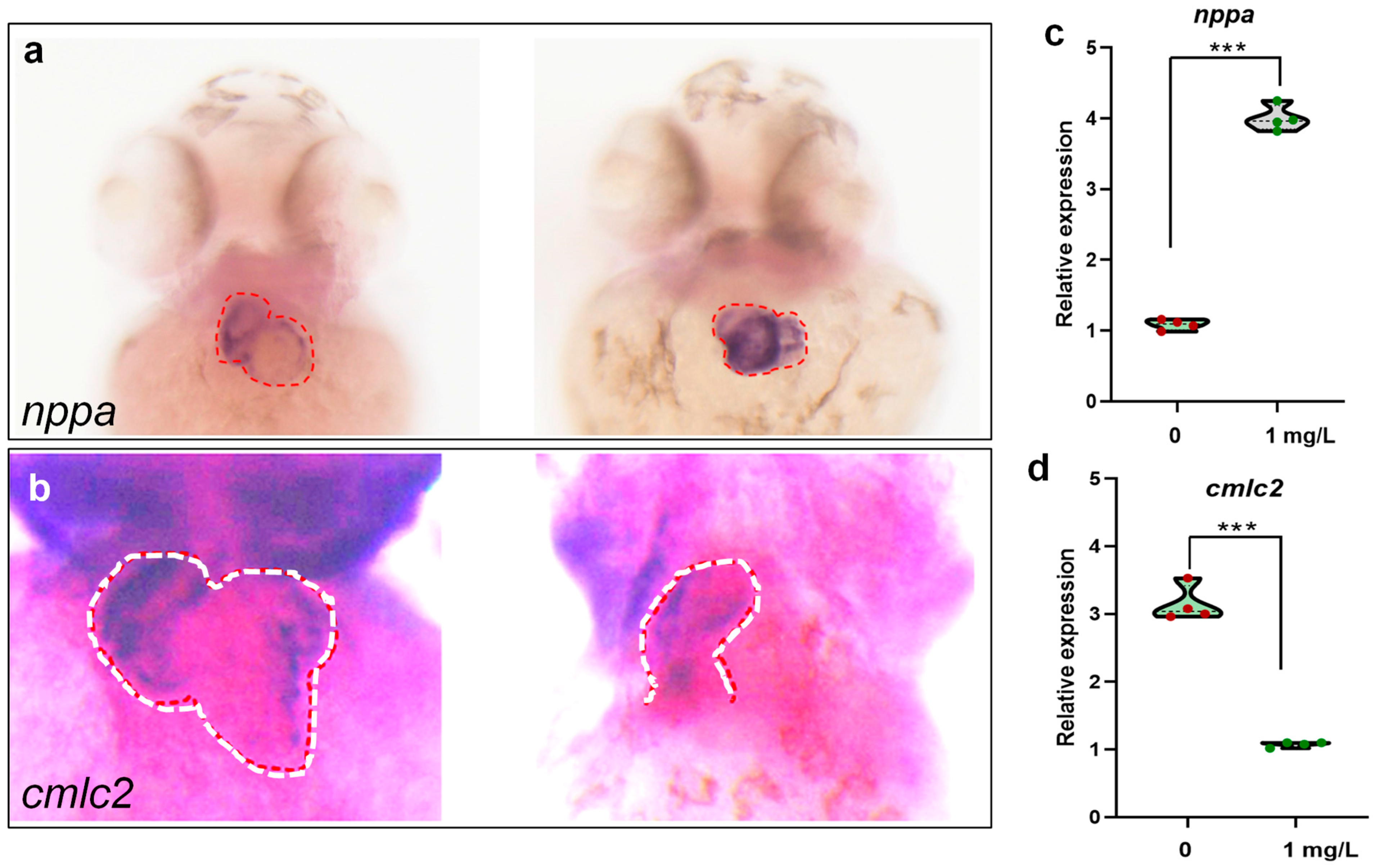 Toxics 12 00150 g006