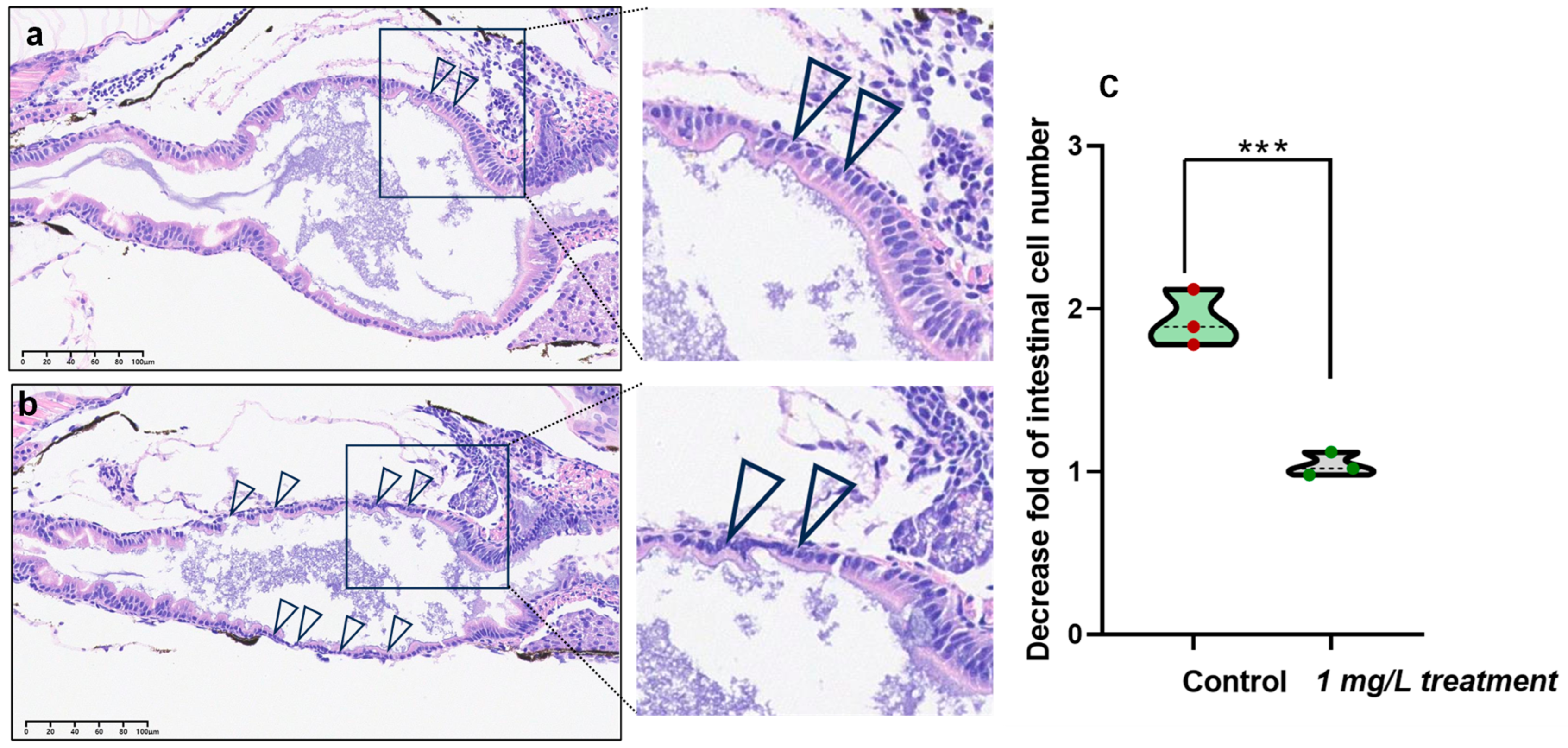 Toxics 12 00150 g007