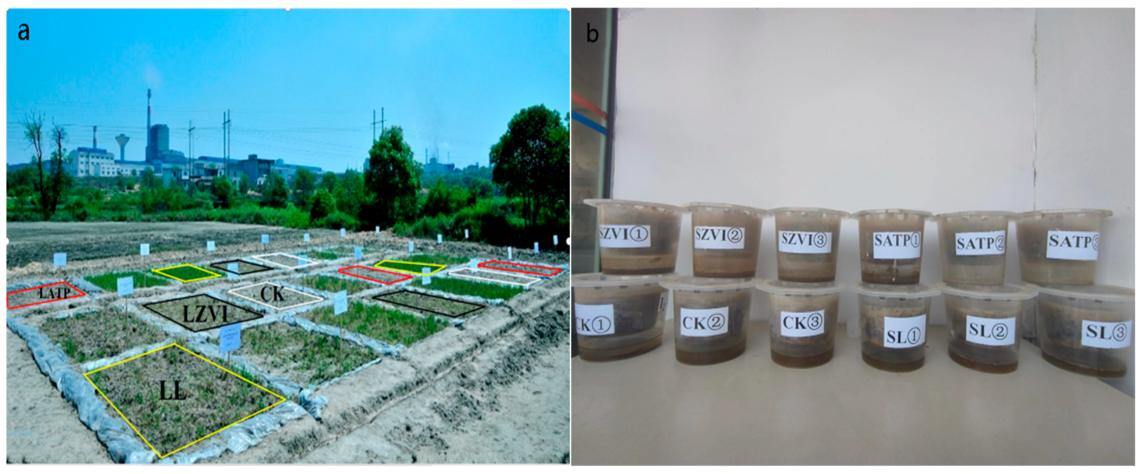 Toxics 12 00157 g001