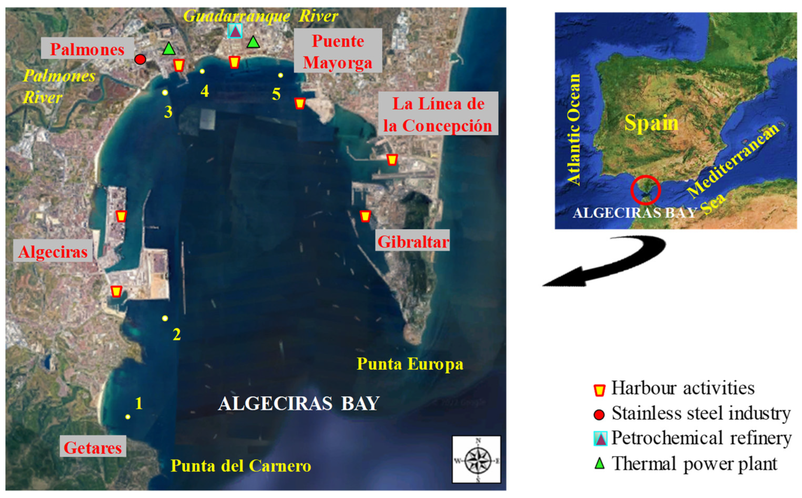 Toxics 12 00166 g001