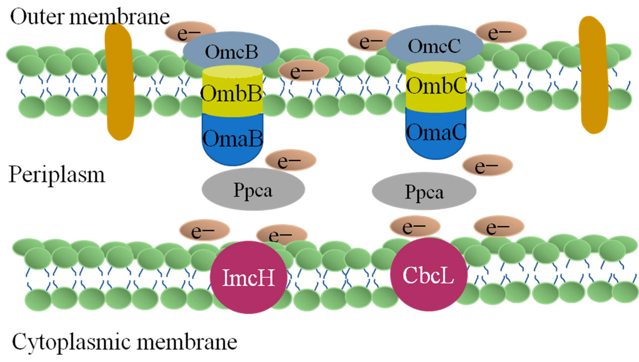 Toxics 12 00173 g004
